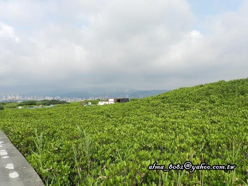 十三行博物館