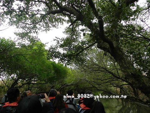 臺灣亞馬遜河,正合興蜜餞,王家莊狀元糕,綠色隧道,義大世界,蜜餞