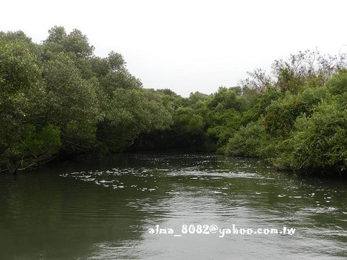 臺灣亞馬遜河,正合興蜜餞,王家莊狀元糕,綠色隧道,義大世界,蜜餞