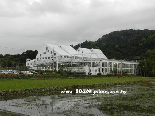 包心圓,宜蘭美食,植物園,牛奶土司,甕窯雞,義珍香,菓風(fēng),香草菲菲,麥香核桃