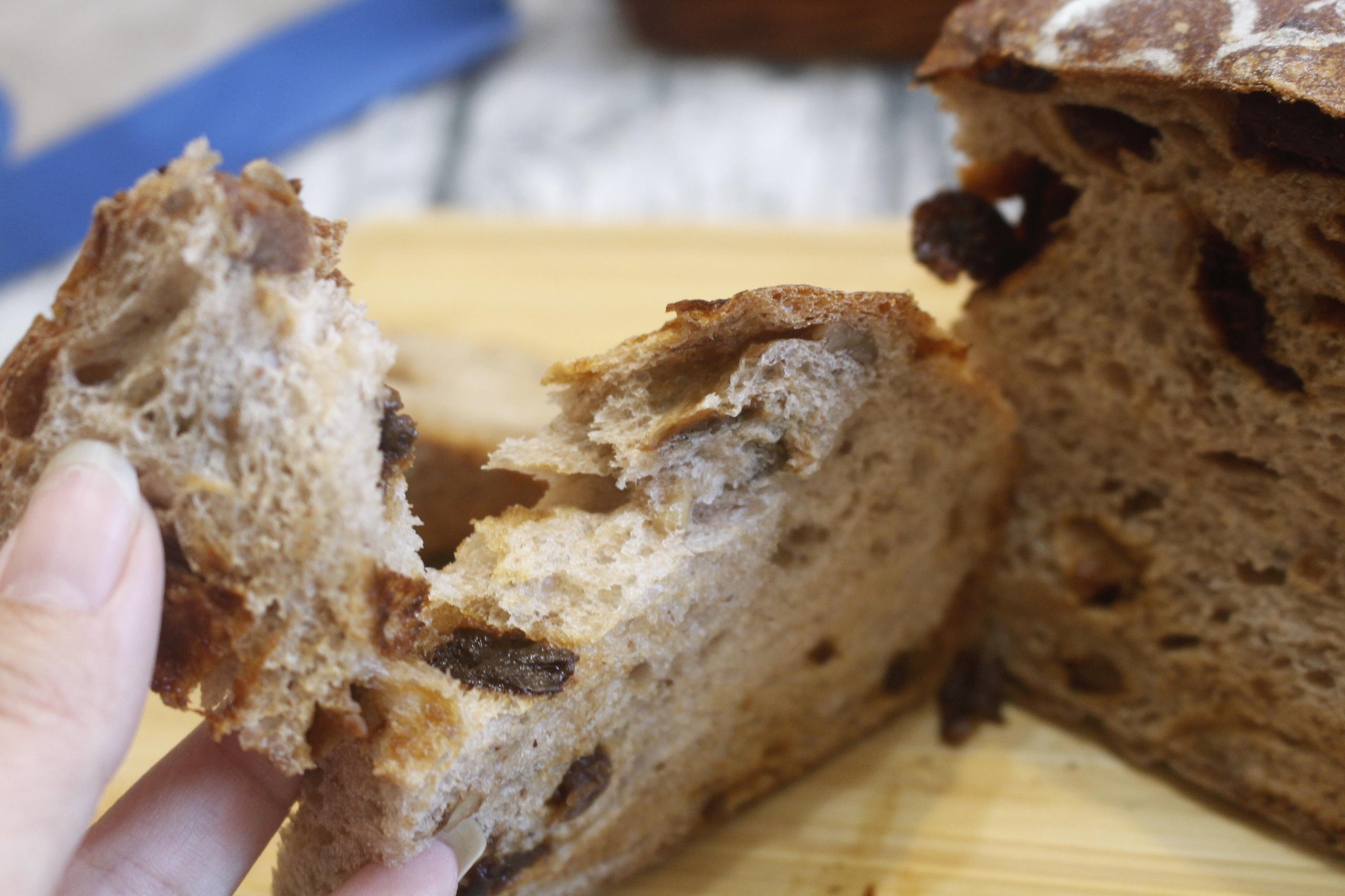 【桃園 REAL真?CAFé?BREAD】新型態麵包時尚店。鎮店之寶「酒釀桂圓」歐式麵包超美味！