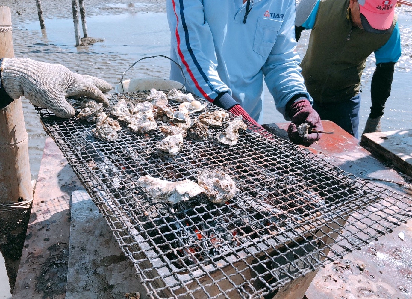 【彰化 阿進帶你採蚵趣】潮間帶搭海牛車體驗：採蚵、挖蛤蠣?？掘虑锏遏~超好吃