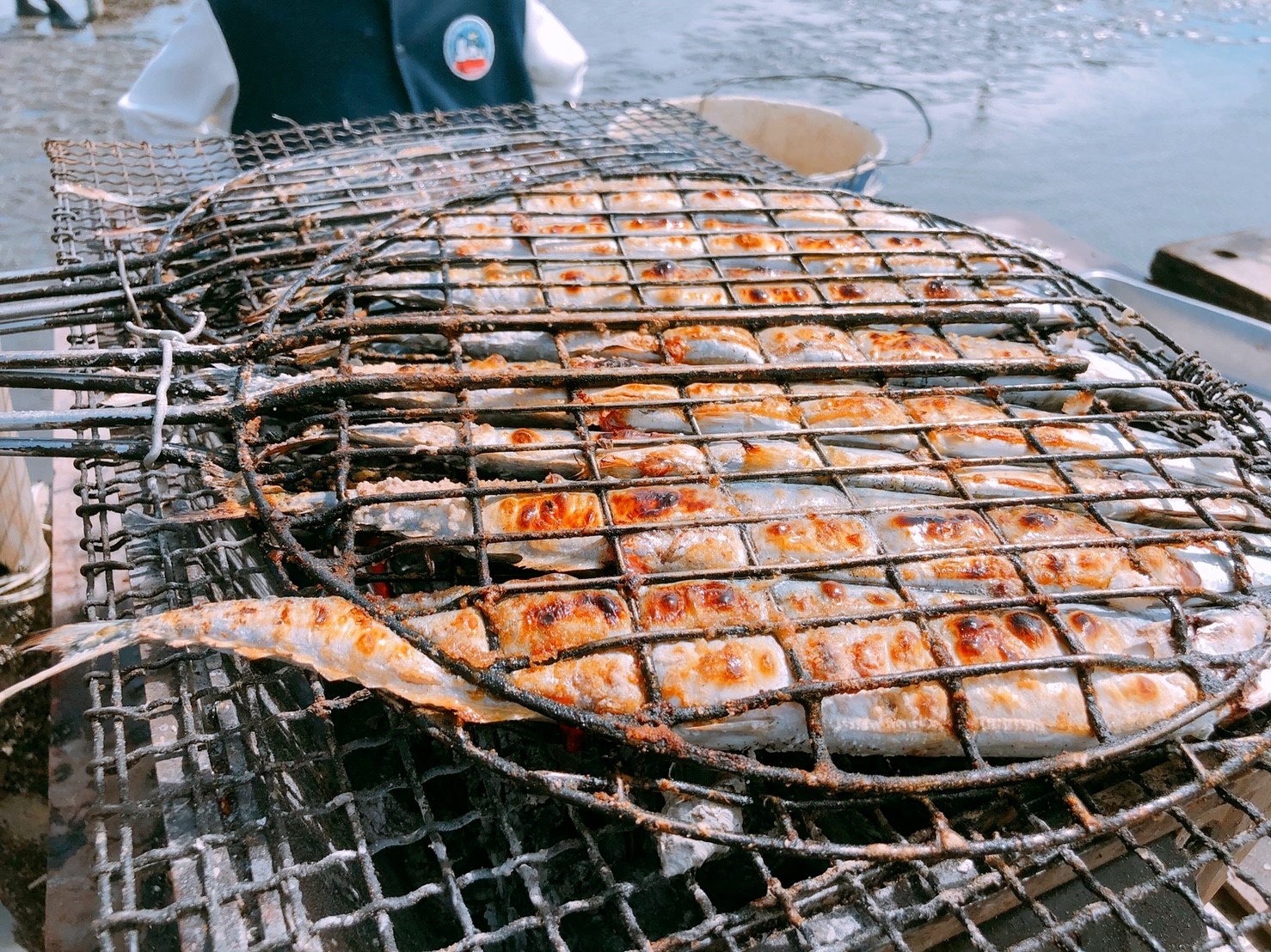 【彰化 阿進帶你採蚵趣】潮間帶搭海牛車體驗：採蚵、挖蛤蠣。烤蚵秋刀魚超好吃