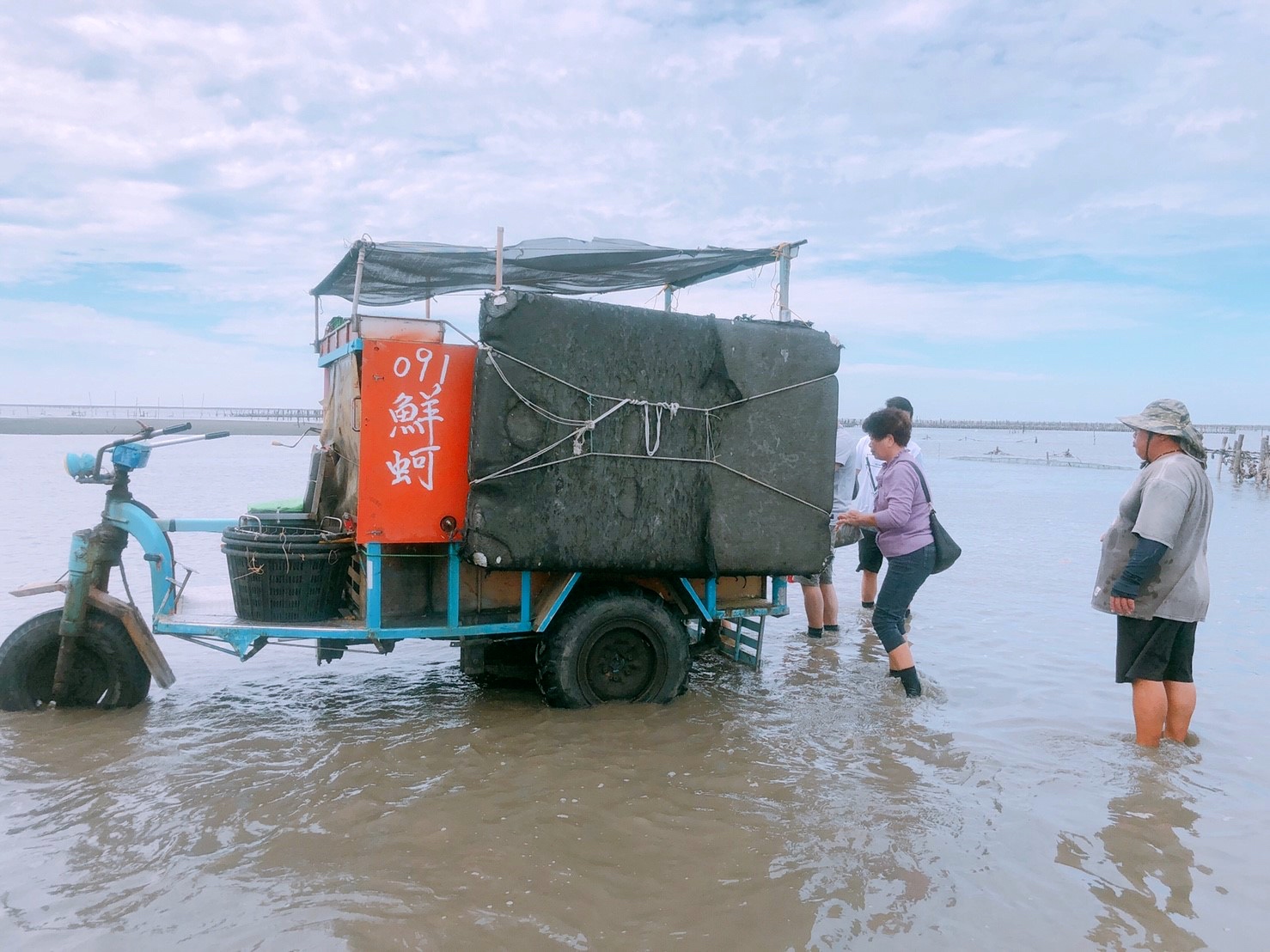 【彰化 阿進帶你採蚵趣】潮間帶搭海牛車體驗：採蚵、挖蛤蠣?？掘虑锏遏~超好吃