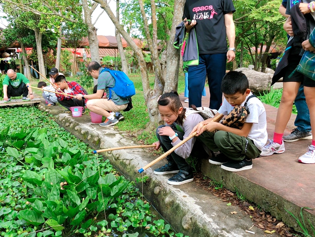 桃園景點,桃園農場,活力健康農場,玩水,蓋窯,親子,農場,餐廳,餵食,體驗生態農場