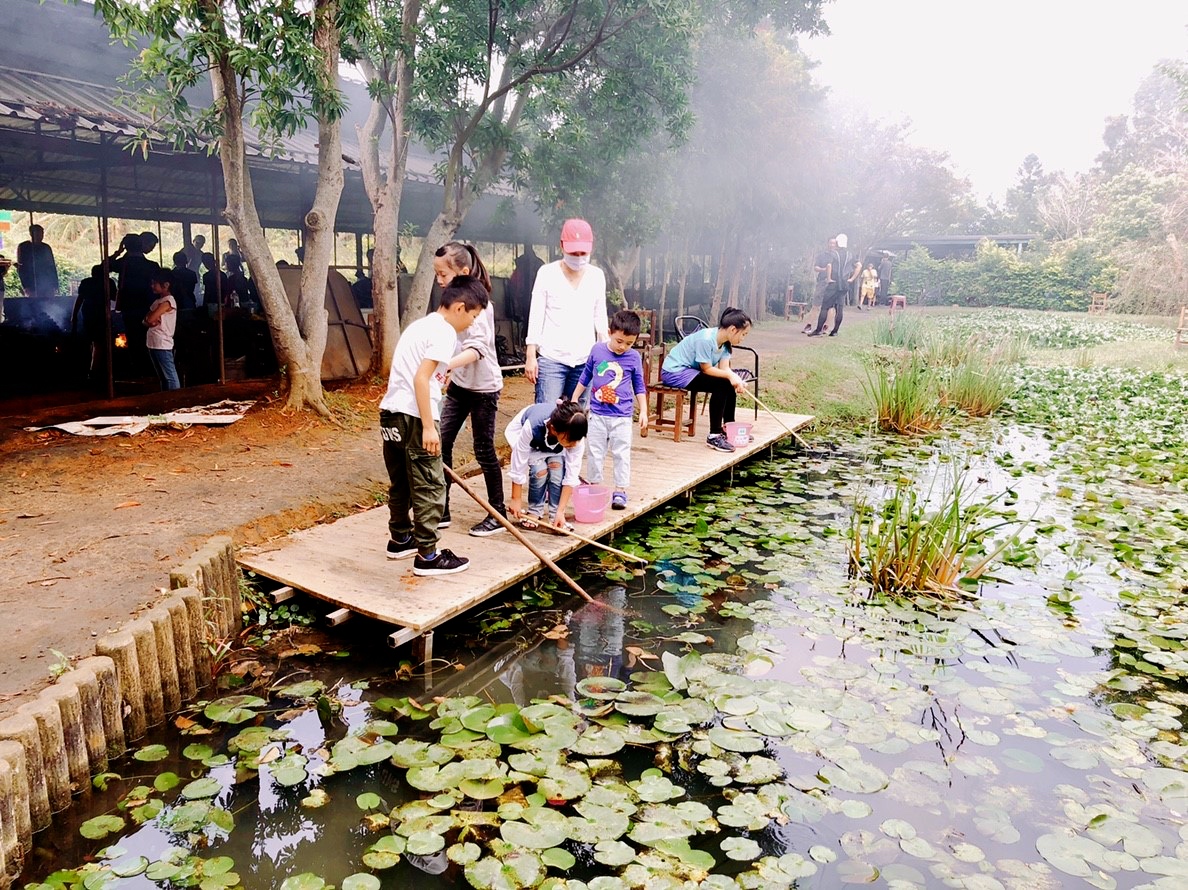 桃園景點,桃園農場,活力健康農場,玩水,蓋窯,親子,農場,餐廳,餵食,體驗生態農場