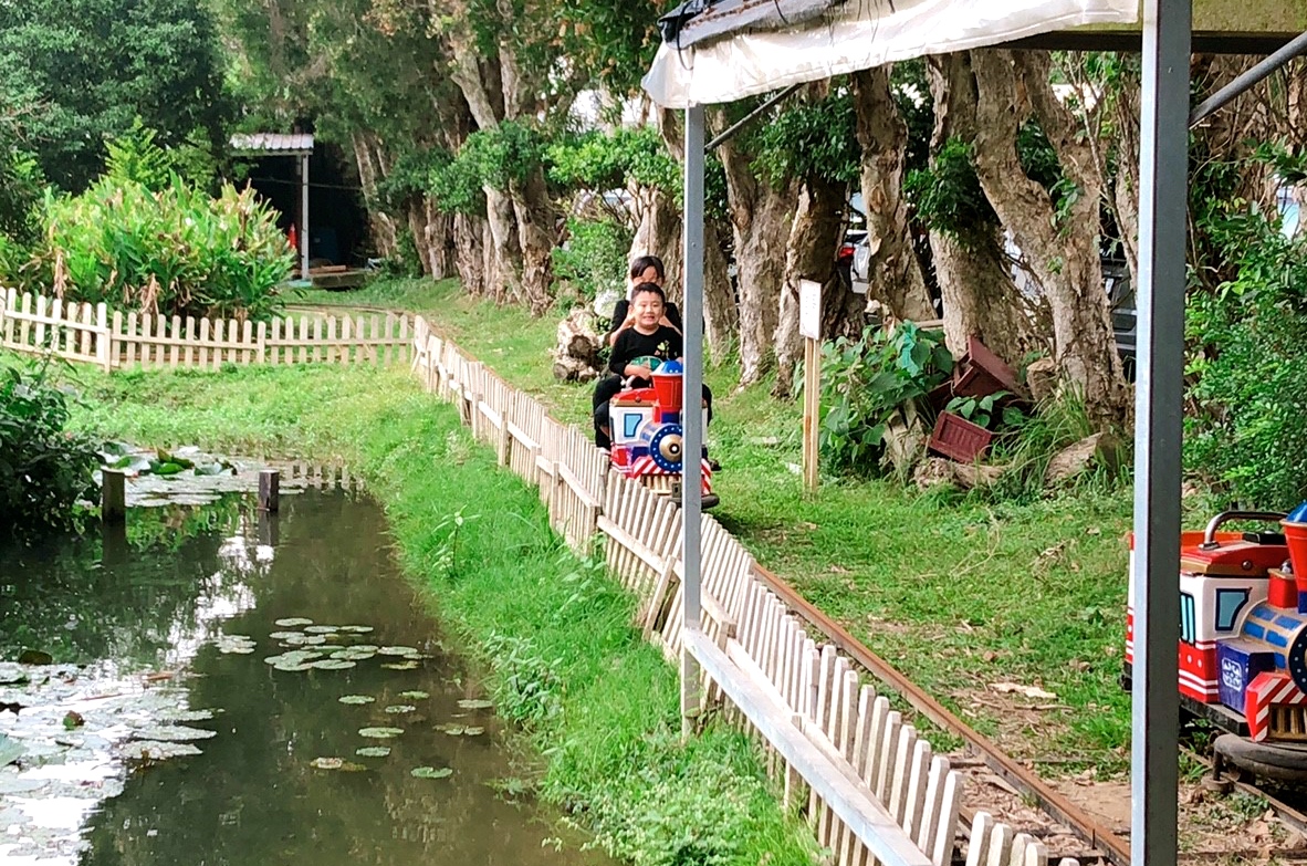 桃園景點,桃園農場,活力健康農場,玩水,蓋窯,親子,農場,餐廳,餵食,體驗生態農場