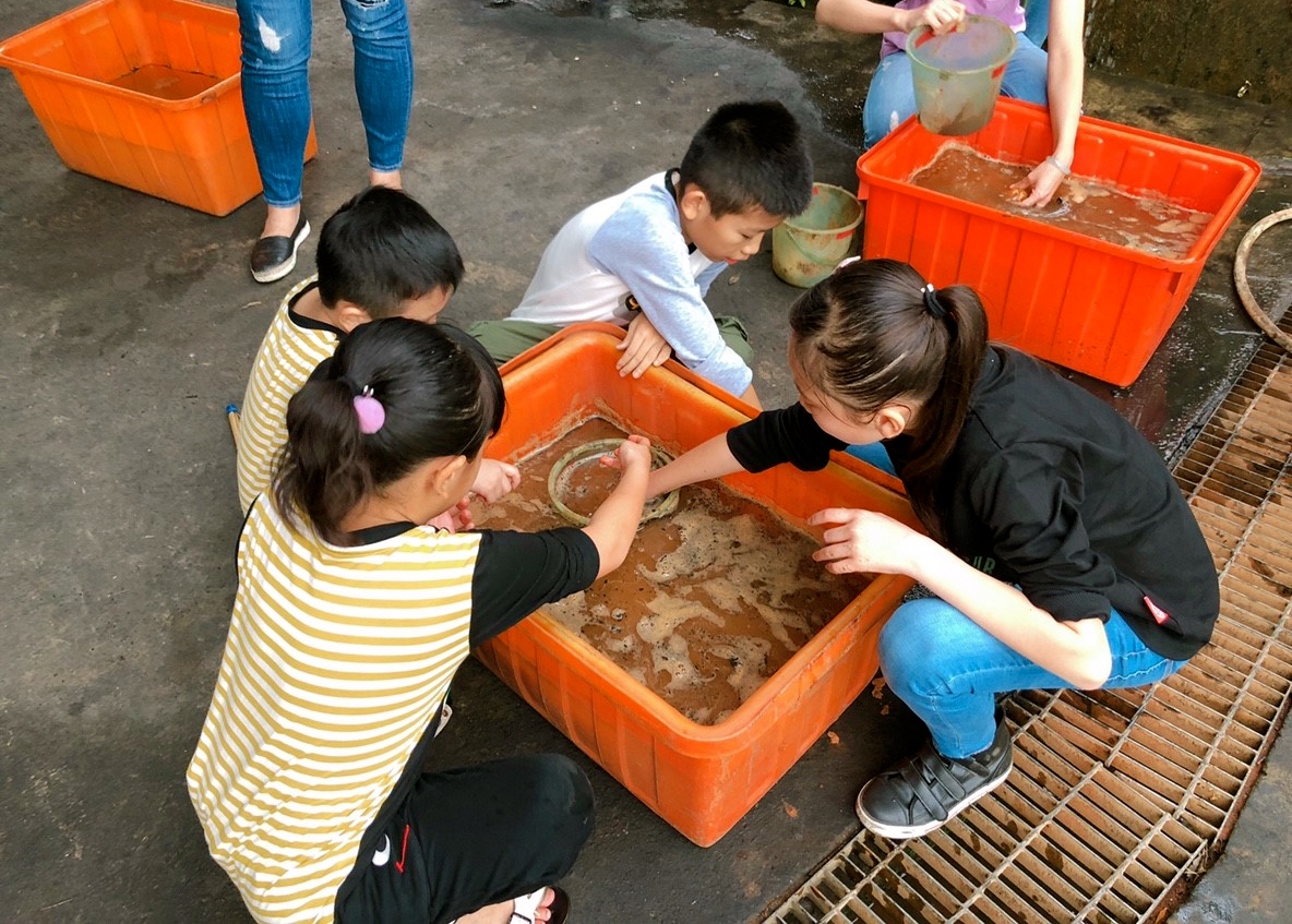 桃園景點,桃園農場,活力健康農場,玩水,蓋窯,親子,農場,餐廳,餵食,體驗生態農場