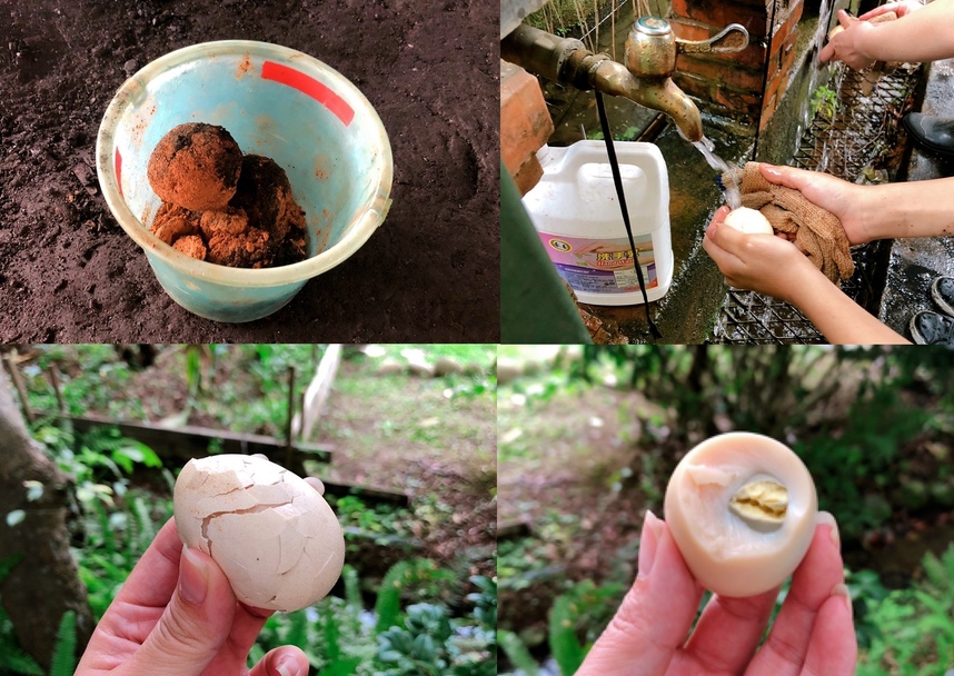 桃園景點,桃園農場,活力健康農場,玩水,蓋窯,親子,農場,餐廳,餵食,體驗生態農場