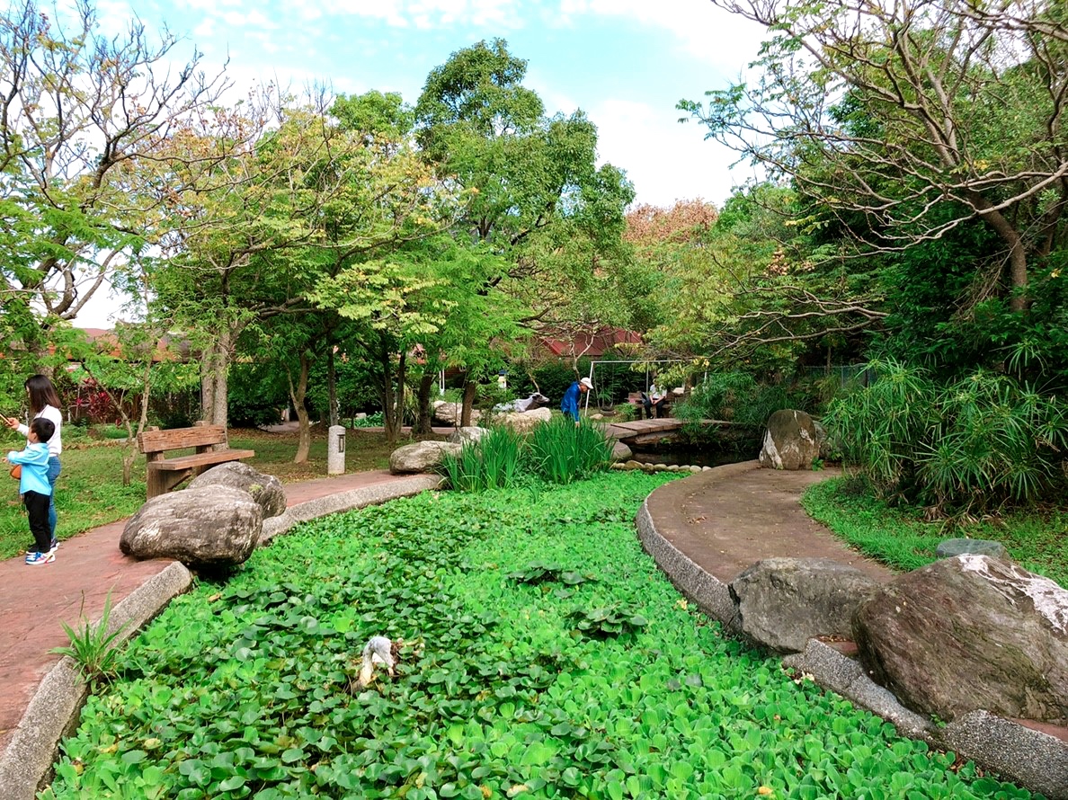 桃園景點,桃園農場,活力健康農場,玩水,蓋窯,親子,農場,餐廳,餵食,體驗生態農場