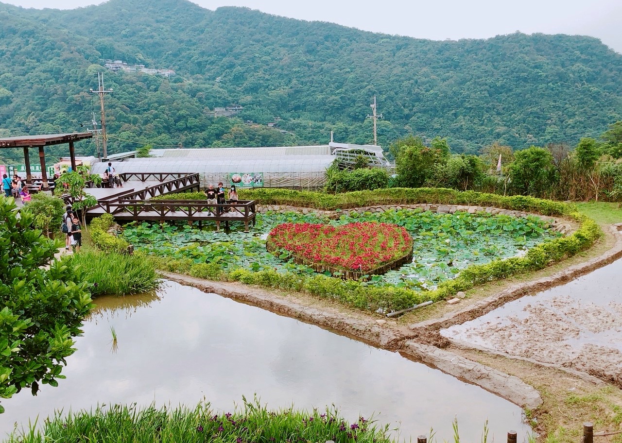 內湖景點,美莓繽紛披薩,莓圃休閒農園