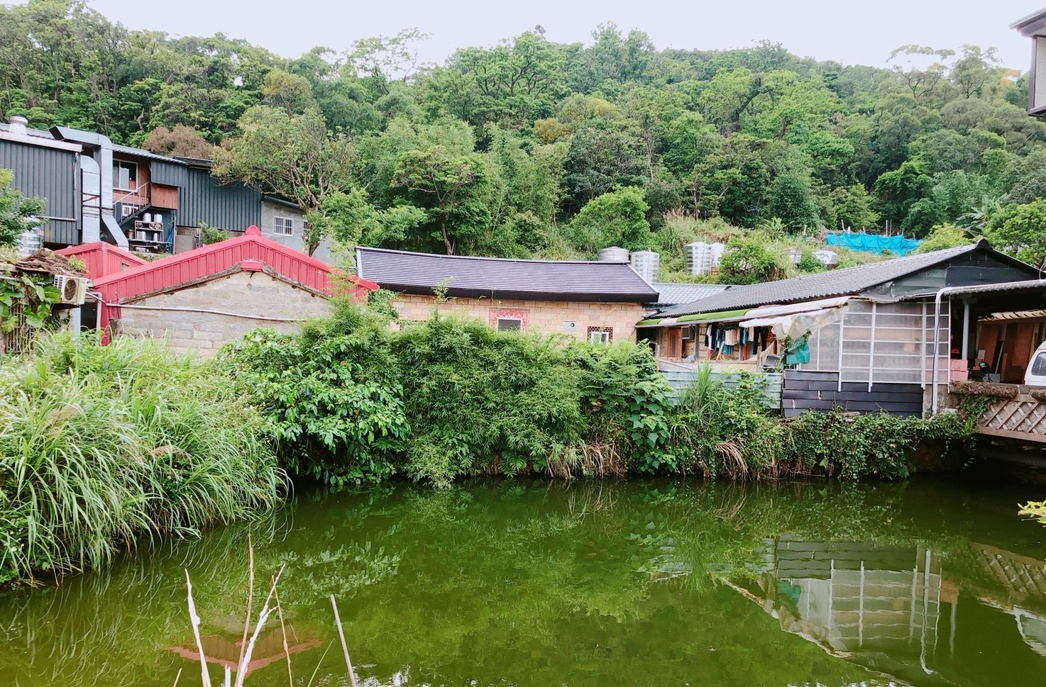 內湖景點,美莓繽紛披薩,莓圃休閒農園