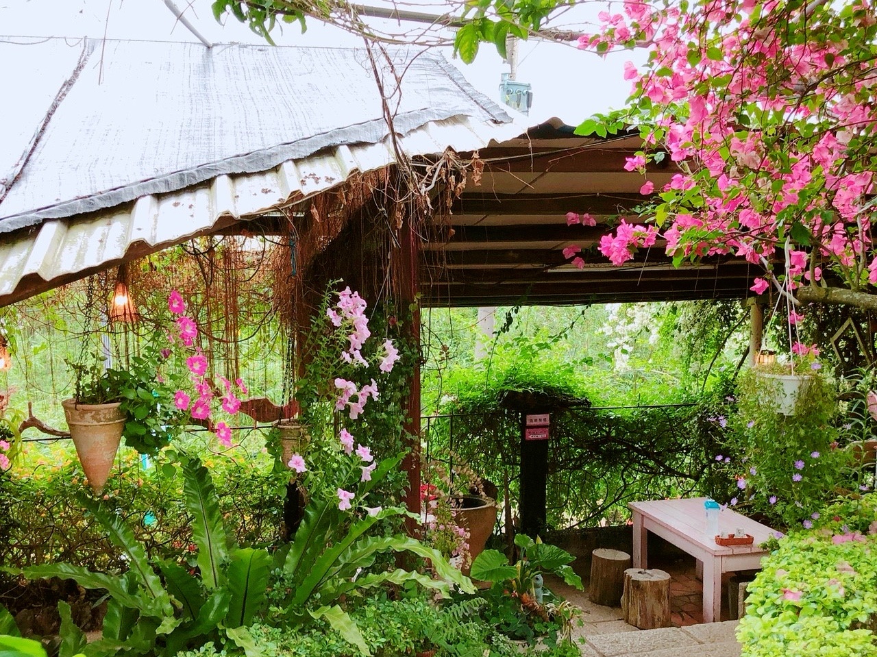 內湖景點,美莓繽紛披薩,莓圃休閒農園