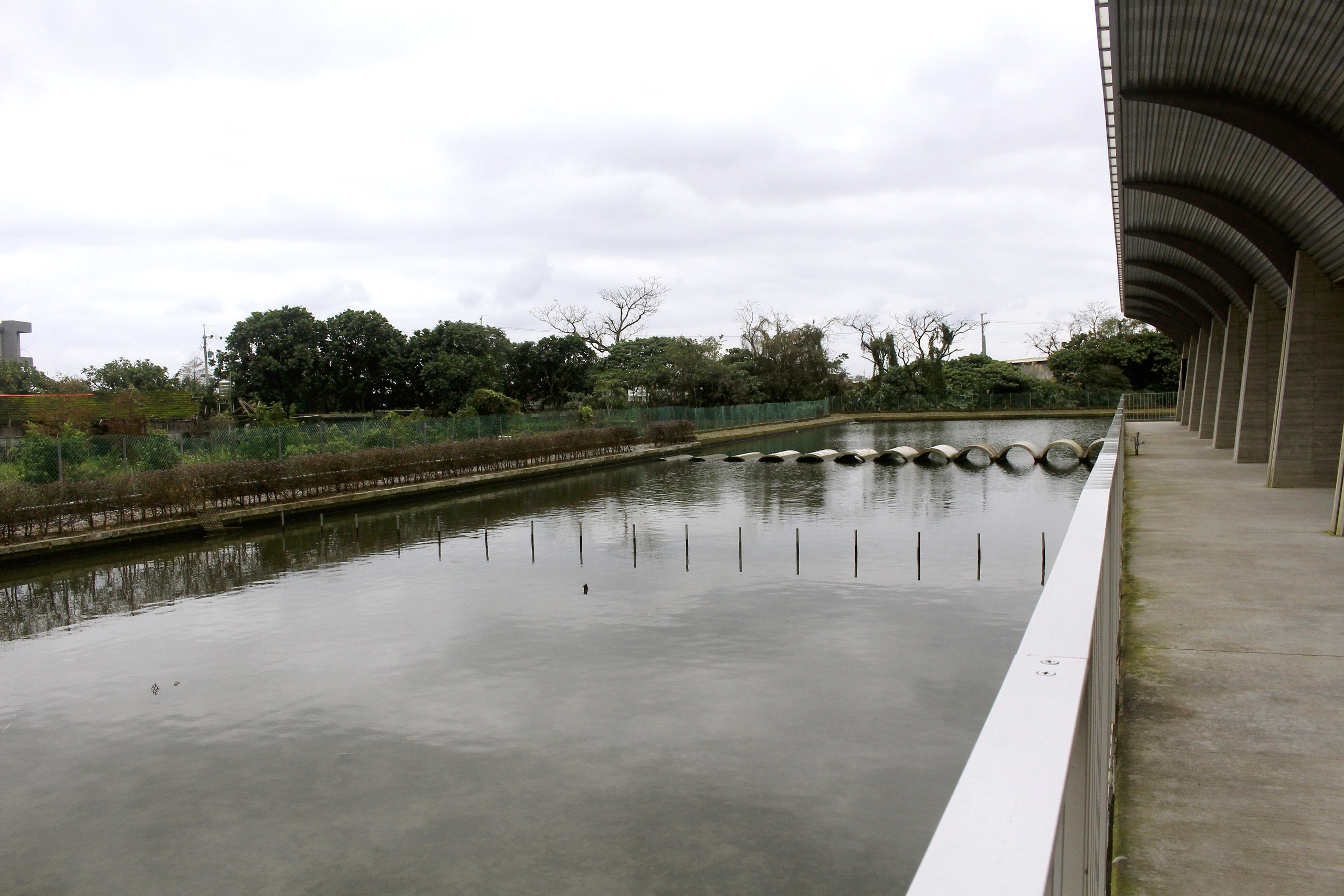 ㄚㄚ生態園區,宜蘭景點,甲鳥園