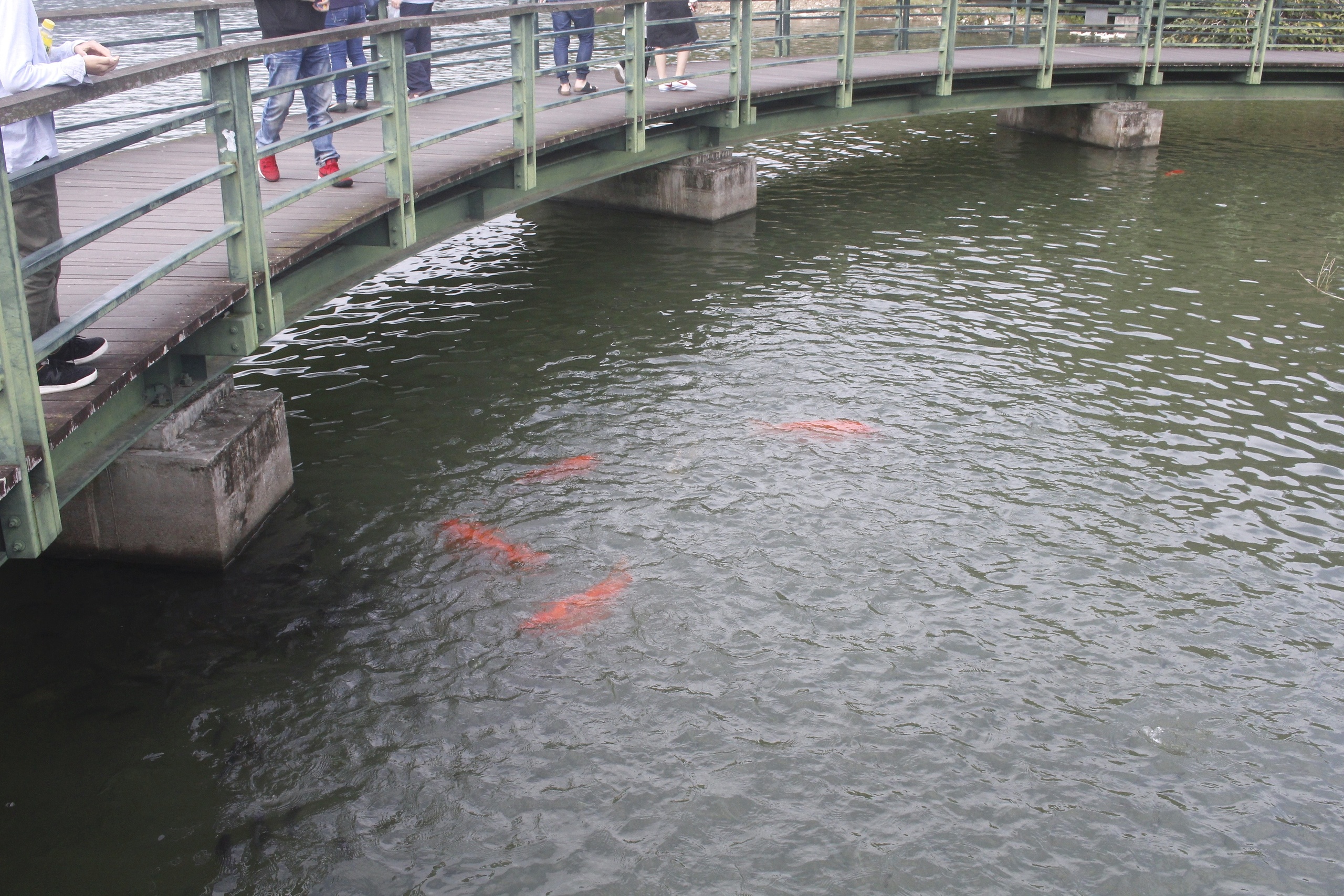 Herbelle龍潭湖悠活園區,宜蘭景點,龍掌坡