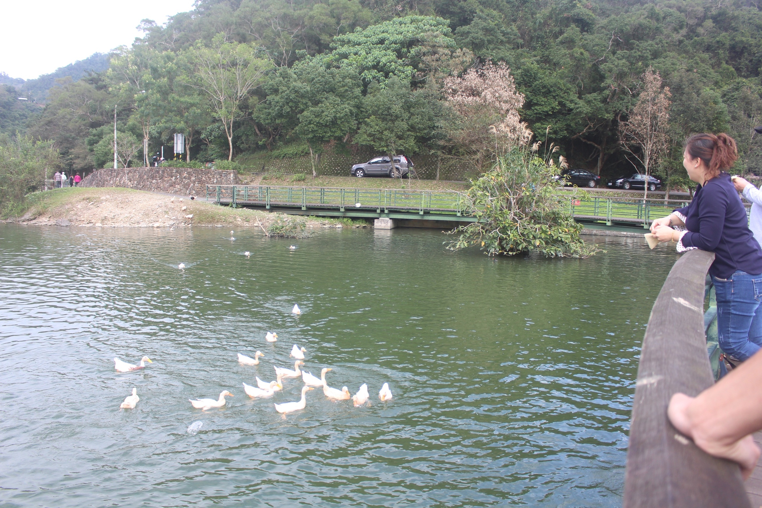 Herbelle龍潭湖悠活園區,宜蘭景點,龍掌坡