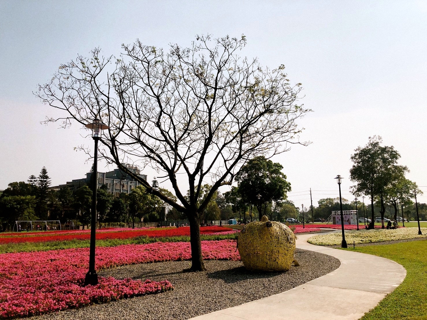 【桃園 客家園區共融式遊戲場】藏匿於浪漫花海。以鞦韆為主題的客家公園