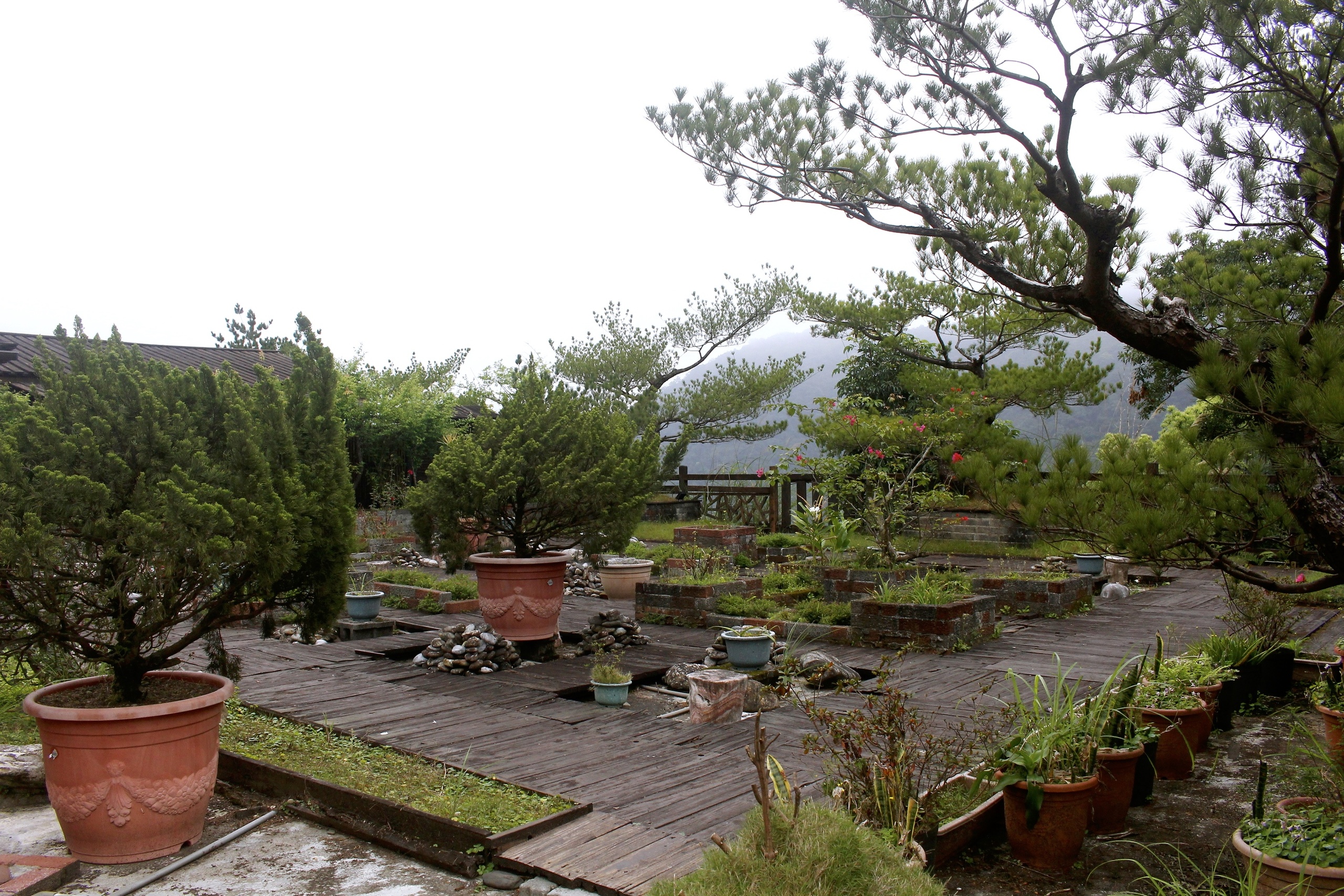 淞呂溫泉會館,新北美食,烏來泡湯,美人湯泉,景觀湯屋,美食,