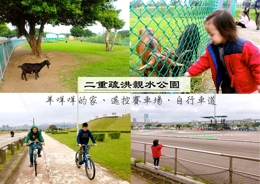 【新北 二重疏洪親水公園】免費餵食「羊咩咩的家」。暢遊自行車道/遙控賽車場/三種球場