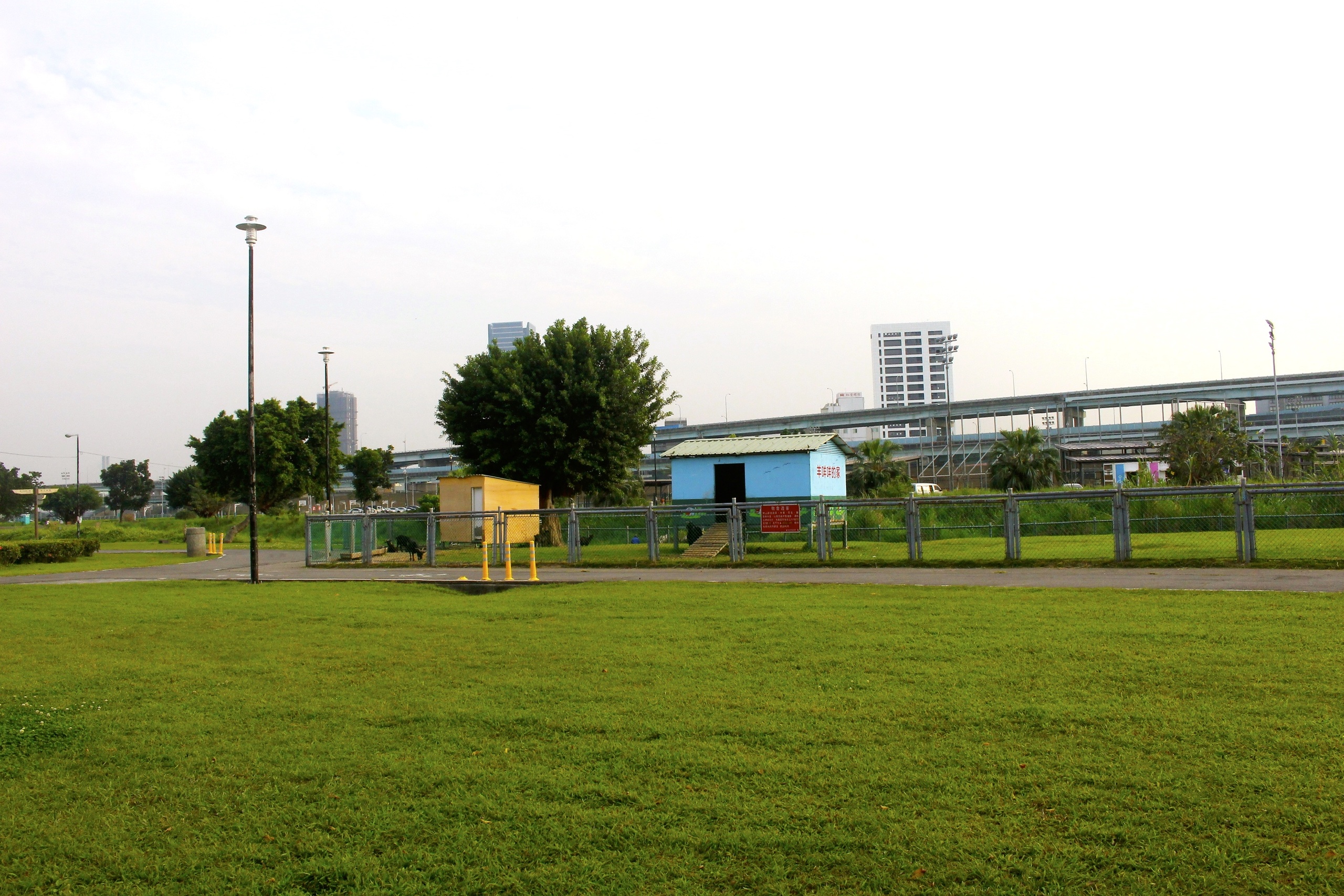 【新北 二重疏洪親水公園】免費餵食「羊咩咩的家」。暢遊自行車道/遙控賽車場/三種球場