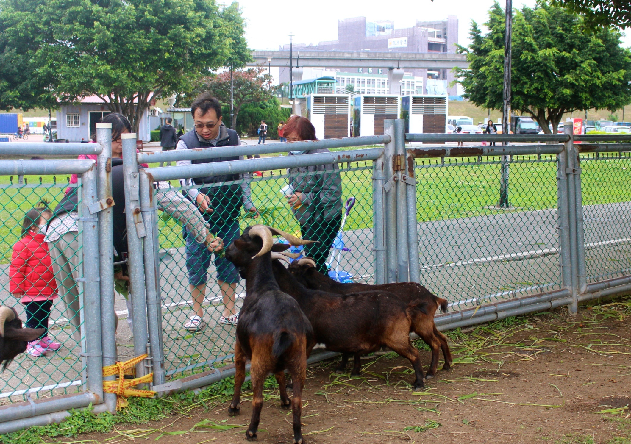 【新北 二重疏洪親水公園】免費餵食「羊咩咩的家」。暢遊自行車道/遙控賽車場/三種球場