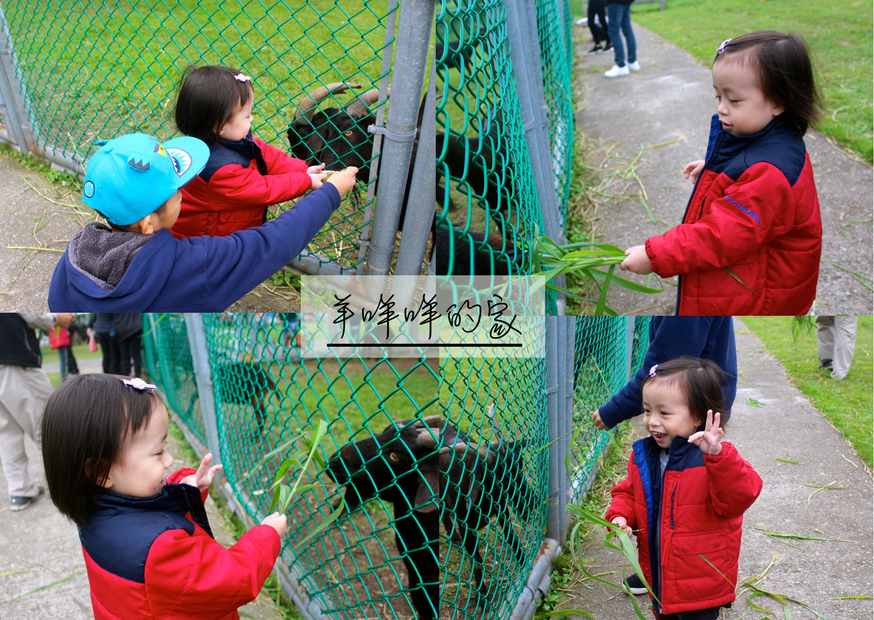 【新北 二重疏洪親水公園】免費餵食「羊咩咩的家」。暢遊自行車道/遙控賽車場/三種球場