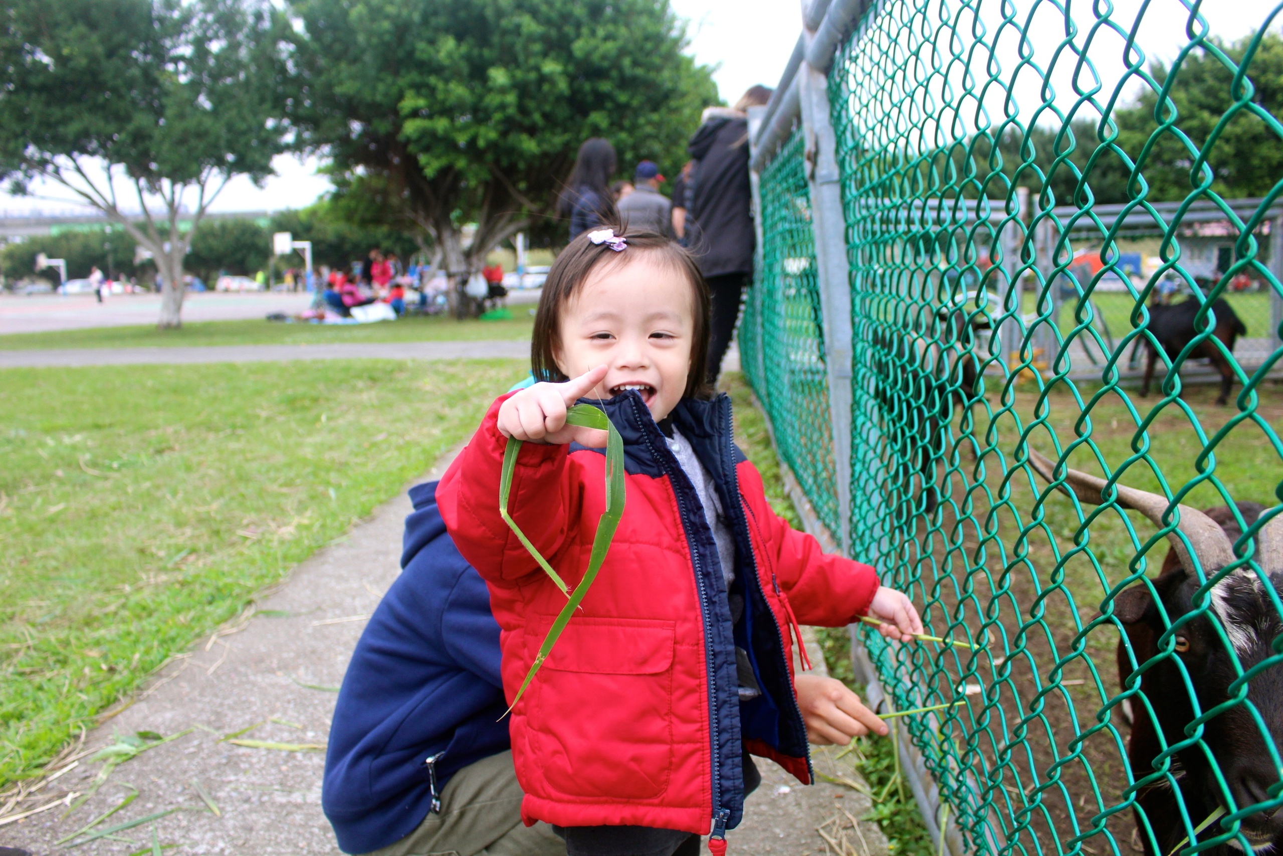 【新北 二重疏洪親水公園】免費餵食「羊咩咩的家」。暢遊自行車道/遙控賽車場/三種球場