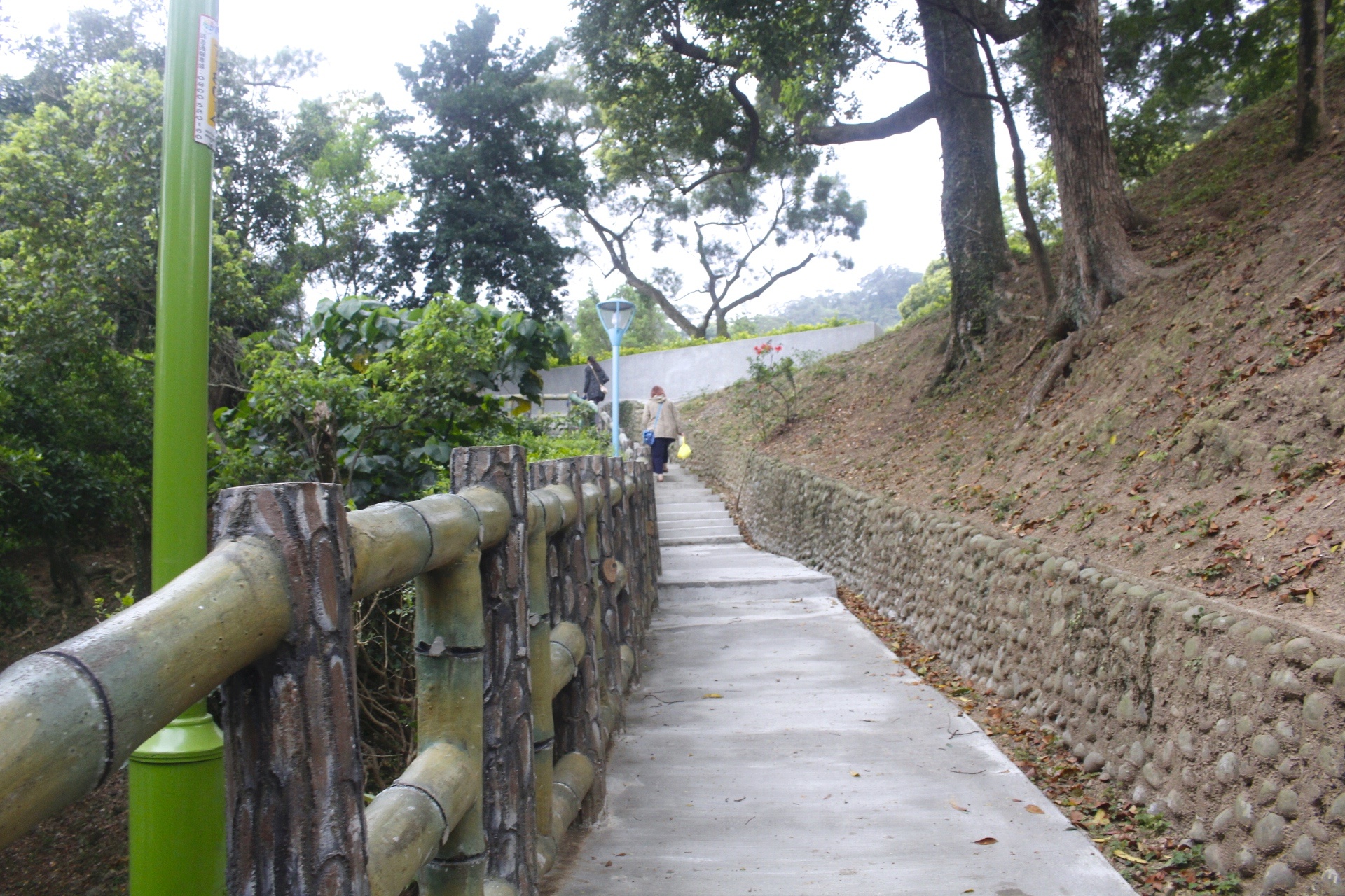 【新北 三峽中山公園】新景點30公尺「彩虹樹藤溜滑梯」。兒童版「跑酷棧道」需俱備小勇氣喔！