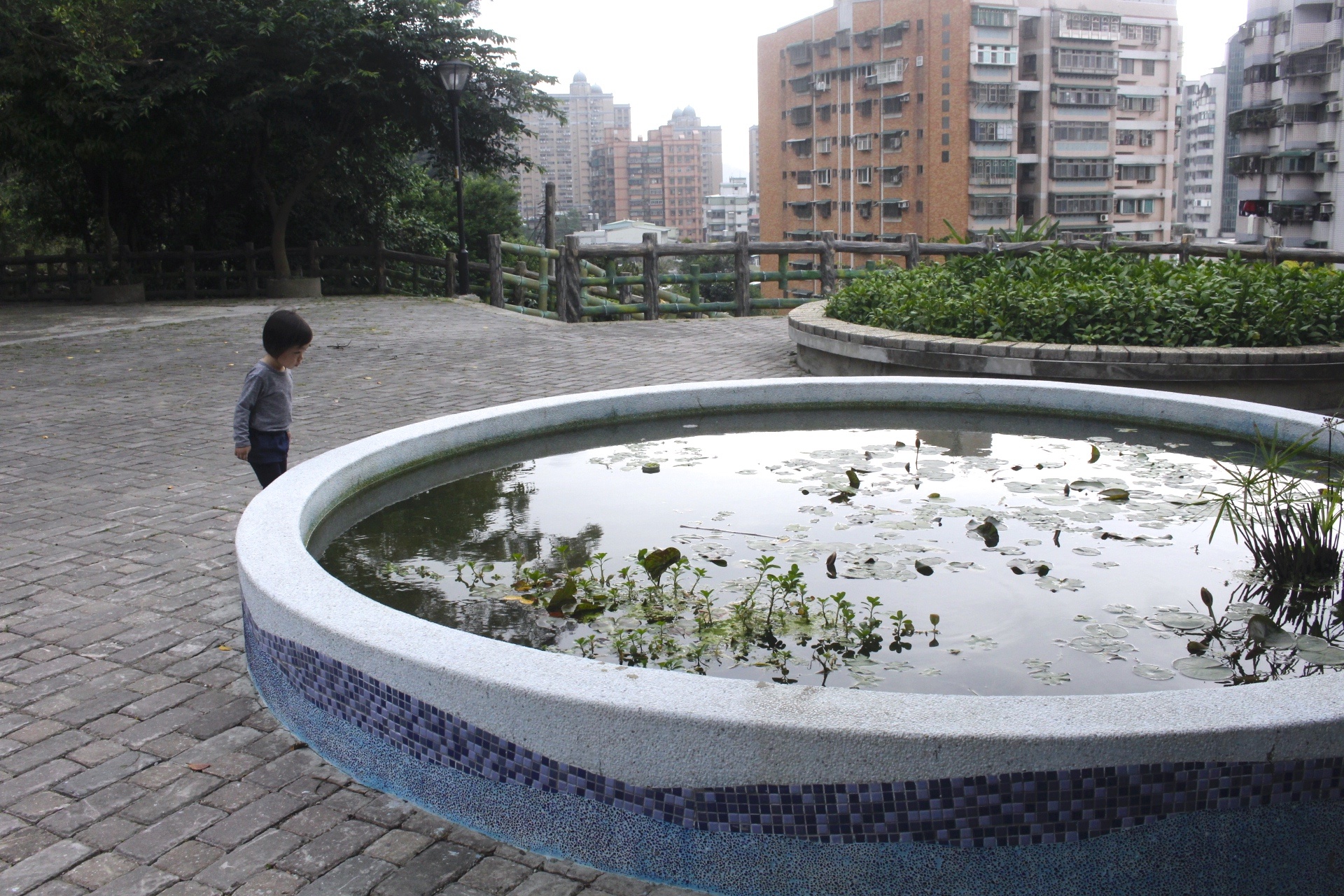 【新北 三峽中山公園】新景點30公尺「彩虹樹藤溜滑梯」。兒童版「跑酷棧道」需俱備小勇氣喔！