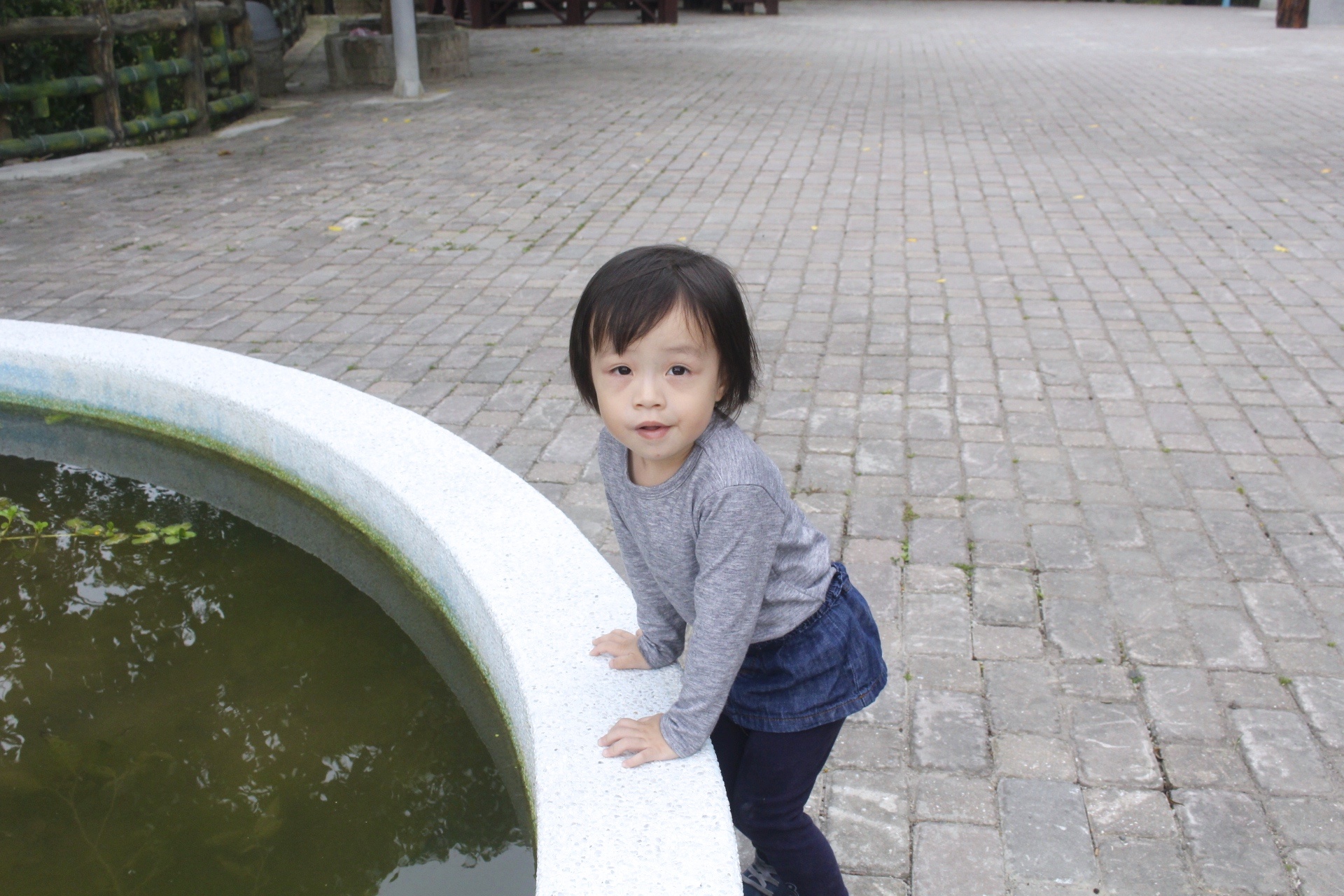 【新北 三峽中山公園】新景點30公尺「彩虹樹藤溜滑梯」。兒童版「跑酷棧道」需俱備小勇氣喔！