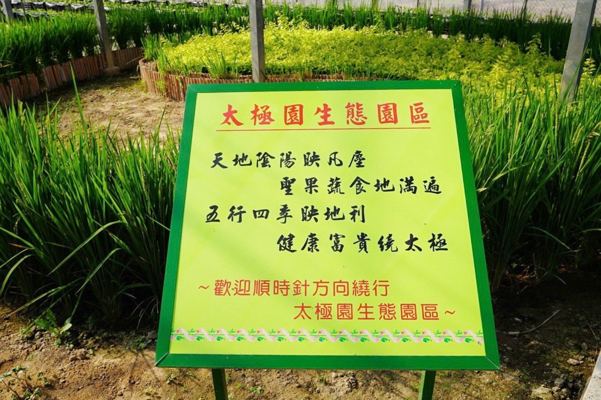 金勇番茄DIY,踩果,採番茄,番茄汁,水果拼盤,免費景點,關西景點,新竹好玩,親子景點,麻糬DIY