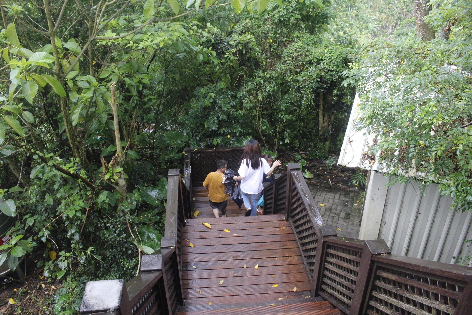 公園,動物,嘉義景點(diǎn),小火車,沙坑,獨(dú)角仙農(nóng)場,親子旅遊,農(nóng)場,遊戲場