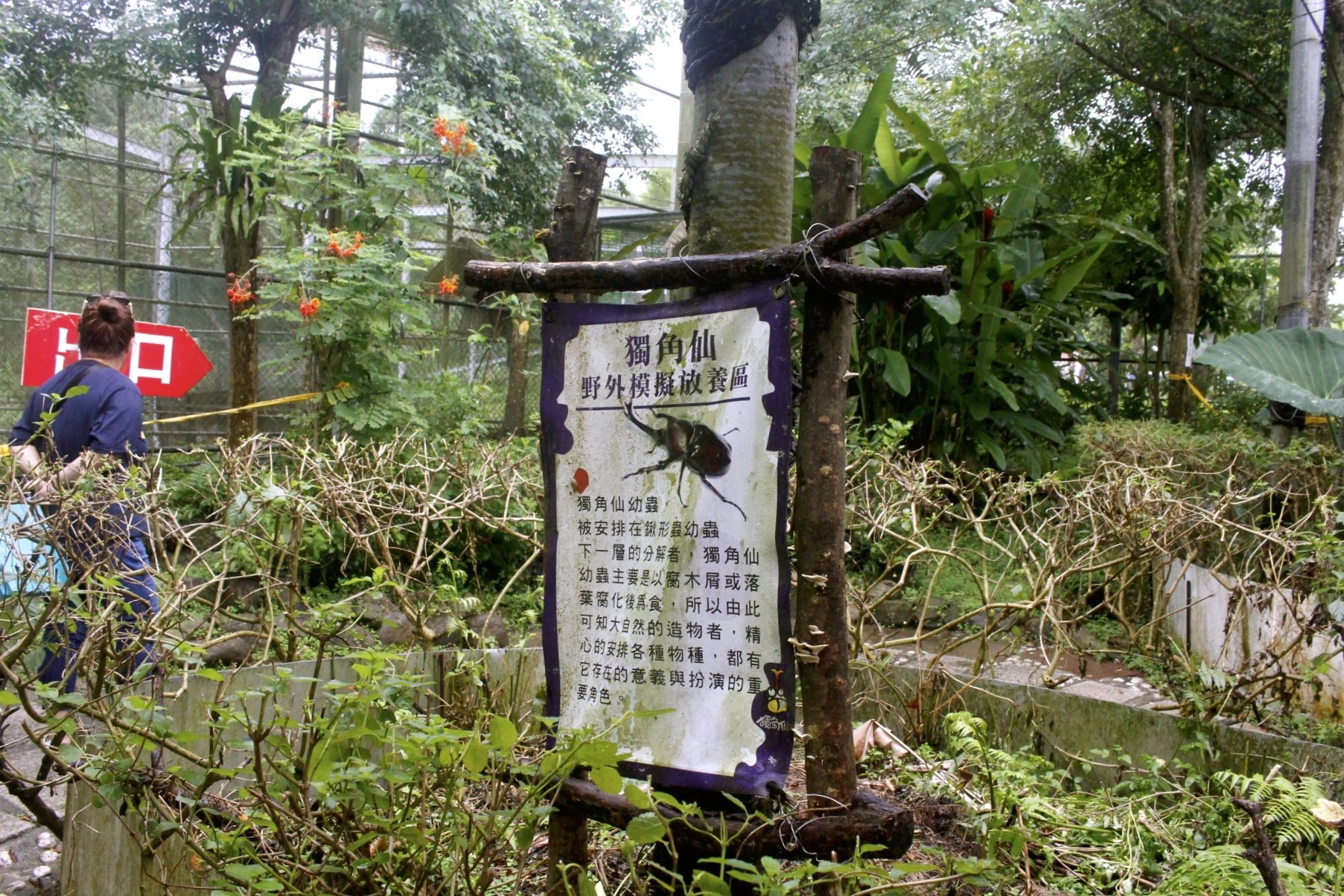 公園,動物,嘉義景點(diǎn),小火車,沙坑,獨(dú)角仙農(nóng)場,親子旅遊,農(nóng)場,遊戲場