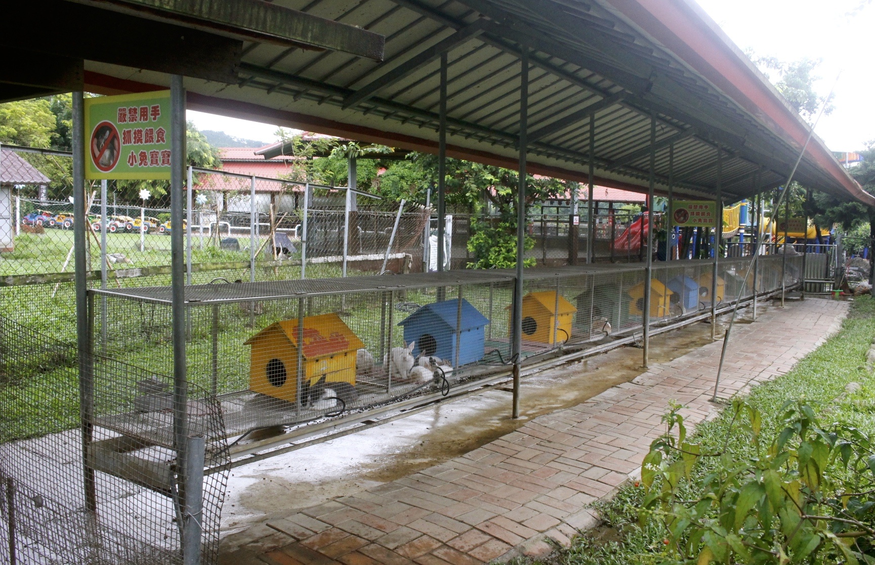 公園,動物,嘉義景點(diǎn),小火車,沙坑,獨(dú)角仙農(nóng)場,親子旅遊,農(nóng)場,遊戲場