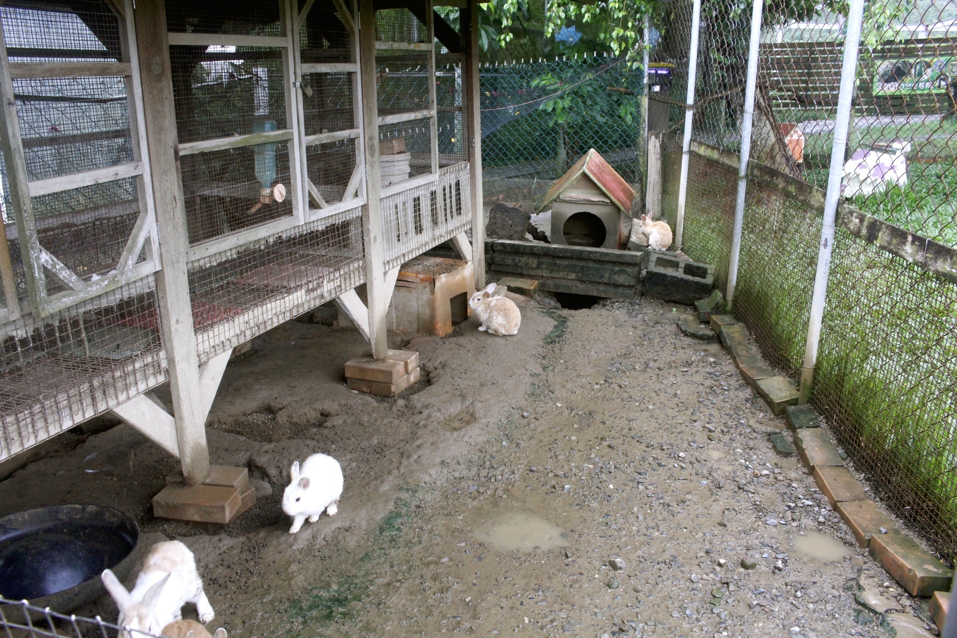 公園,動物,嘉義景點(diǎn),小火車,沙坑,獨(dú)角仙農(nóng)場,親子旅遊,農(nóng)場,遊戲場