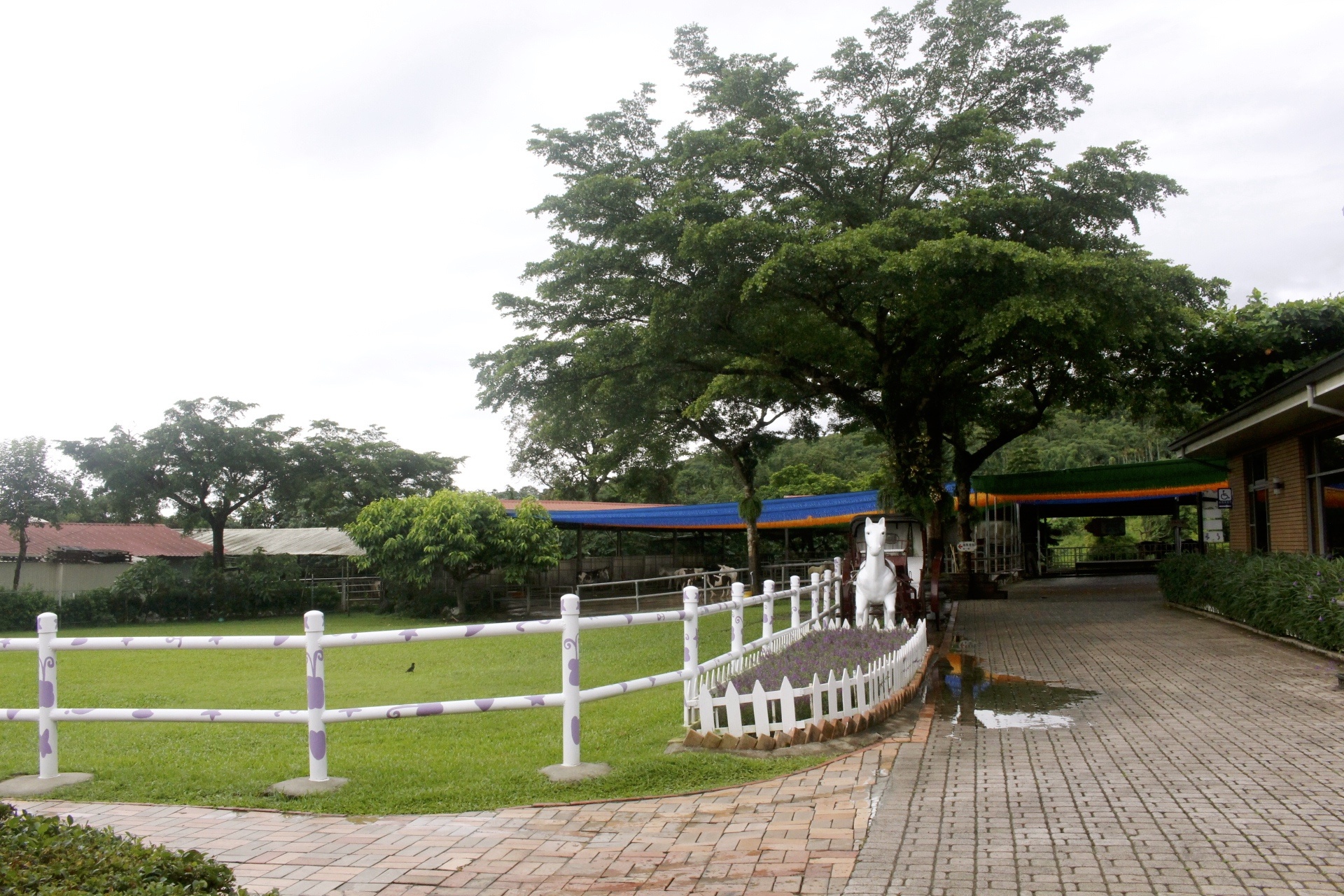 公園,動物,嘉義景點(diǎn),小火車,沙坑,獨(dú)角仙農(nóng)場,親子旅遊,農(nóng)場,遊戲場