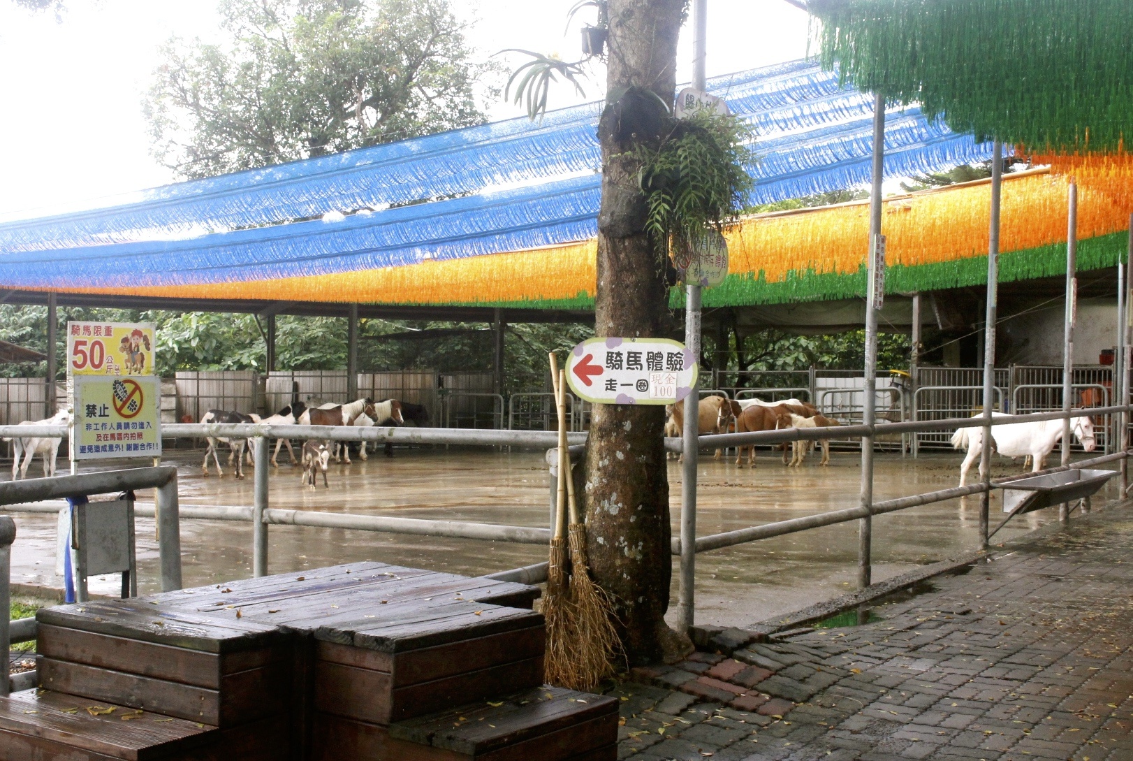 公園,動物,嘉義景點(diǎn),小火車,沙坑,獨(dú)角仙農(nóng)場,親子旅遊,農(nóng)場,遊戲場