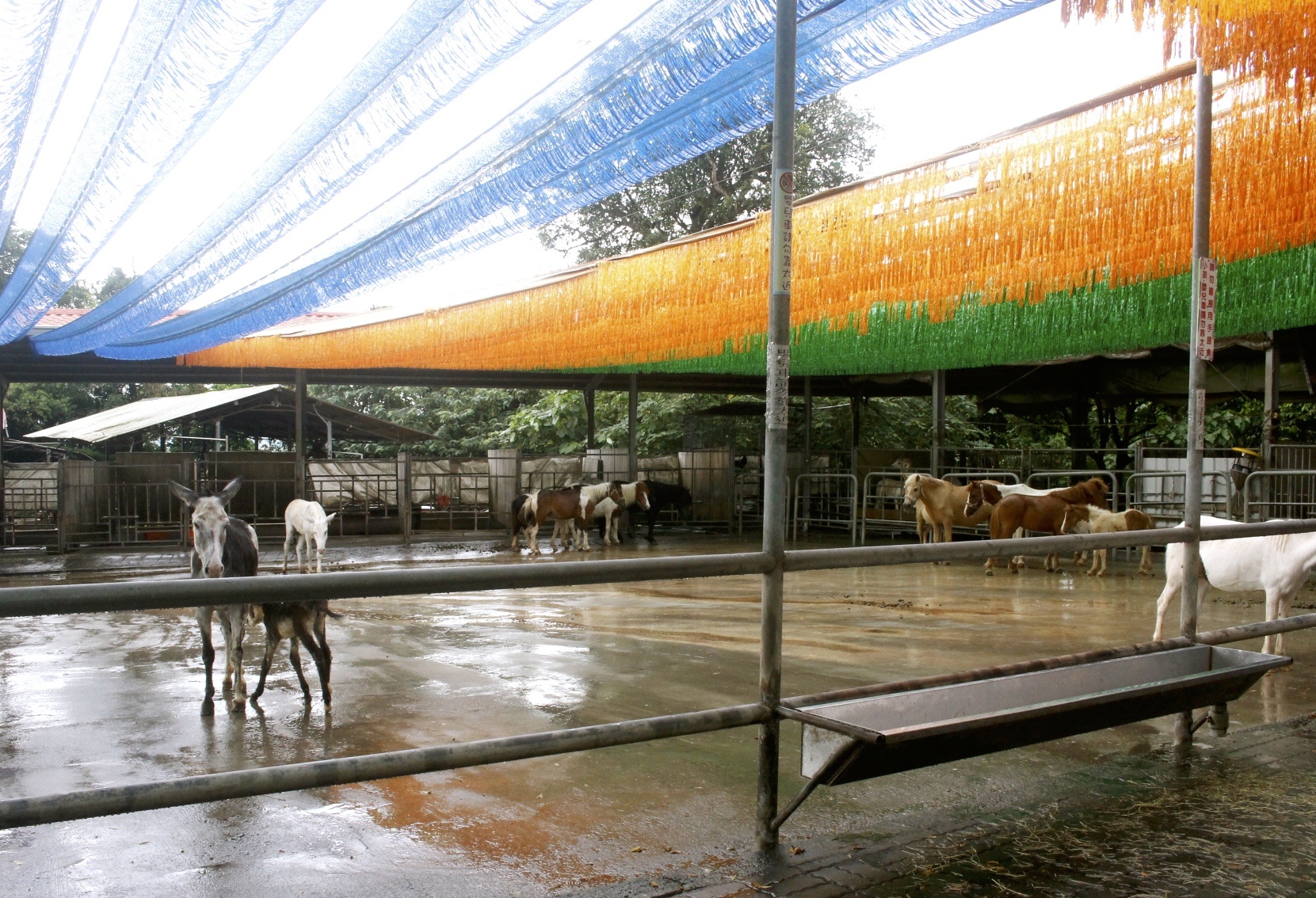 公園,動物,嘉義景點(diǎn),小火車,沙坑,獨(dú)角仙農(nóng)場,親子旅遊,農(nóng)場,遊戲場