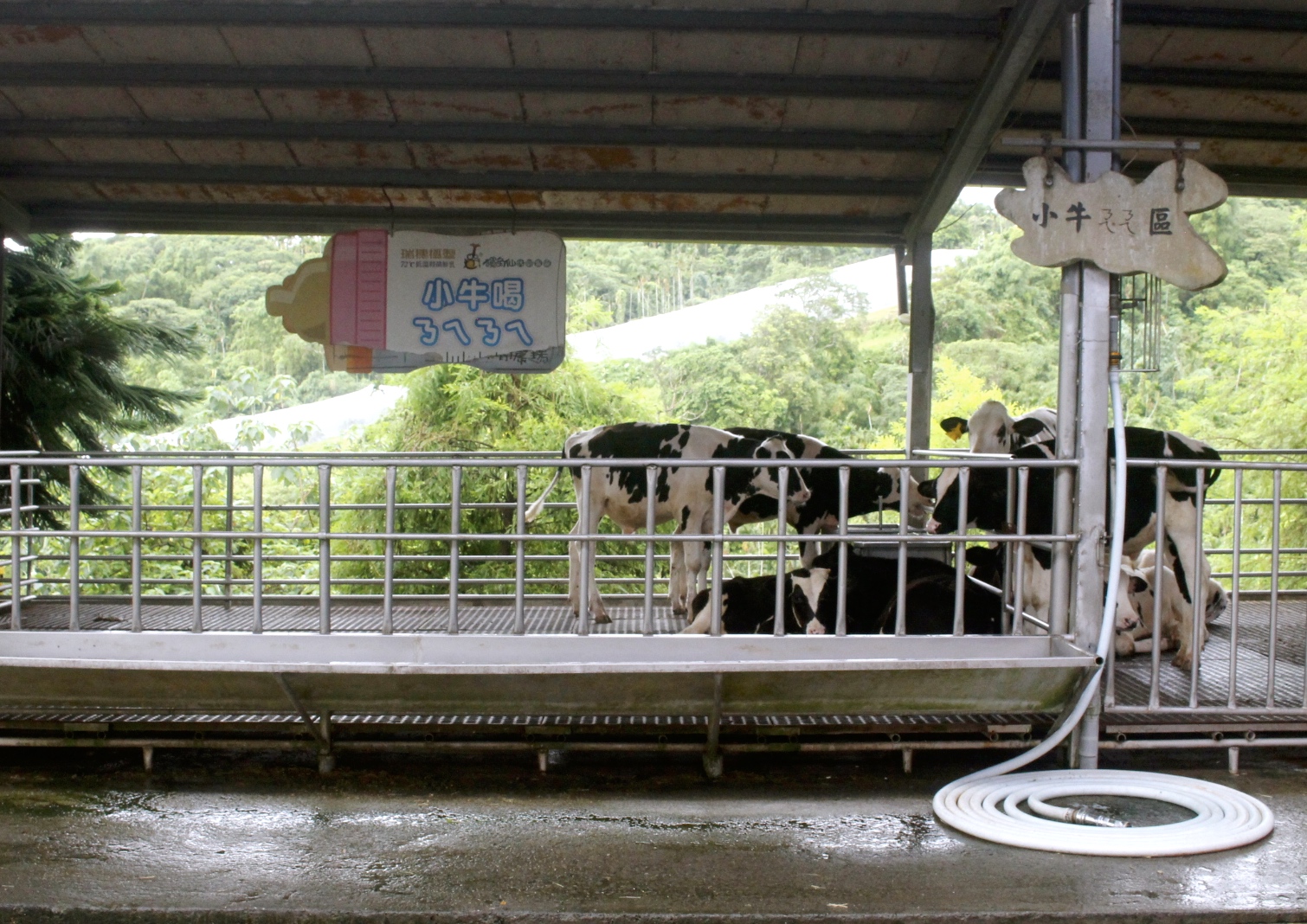 公園,動物,嘉義景點(diǎn),小火車,沙坑,獨(dú)角仙農(nóng)場,親子旅遊,農(nóng)場,遊戲場