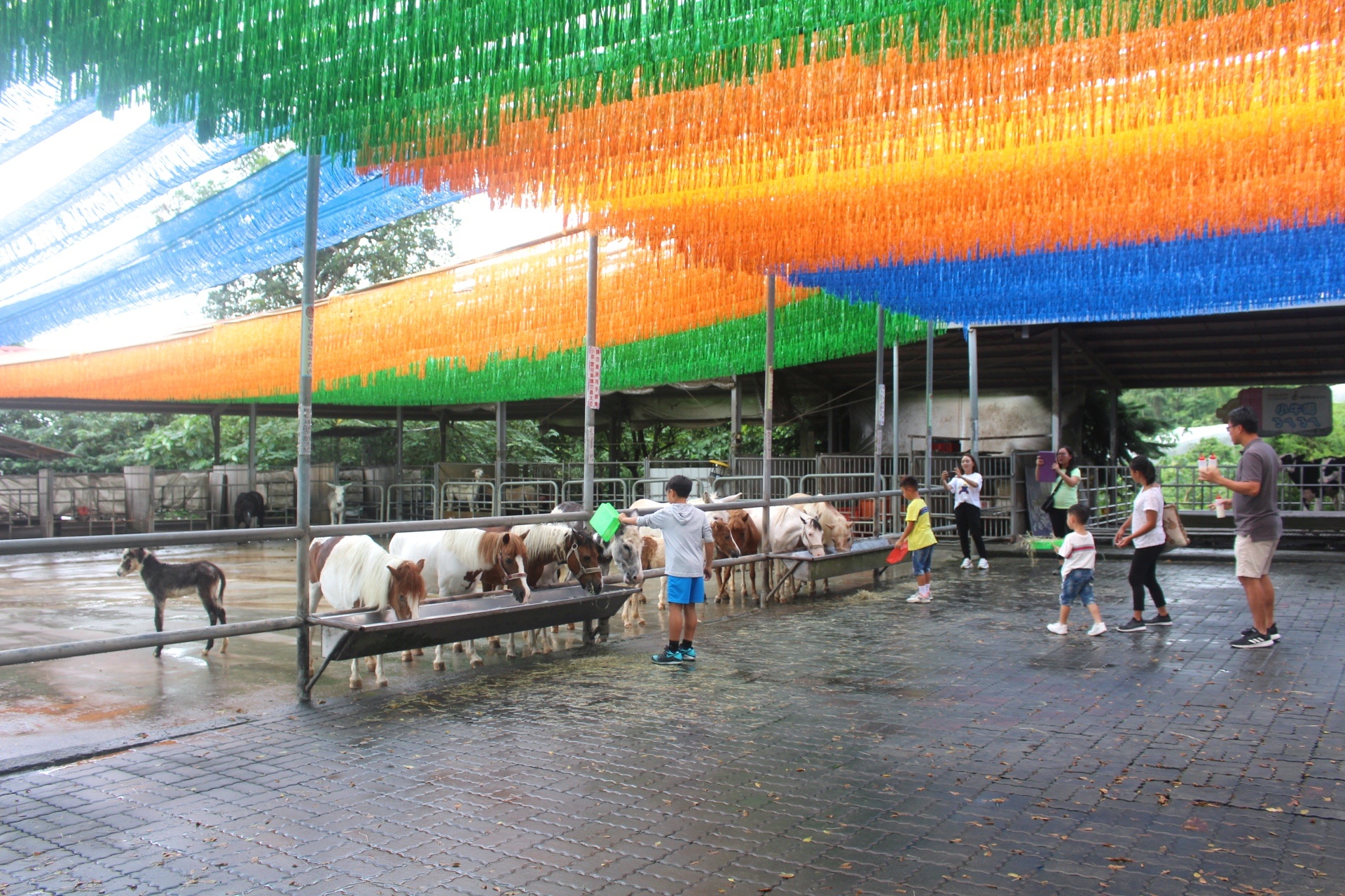 公園,動物,嘉義景點(diǎn),小火車,沙坑,獨(dú)角仙農(nóng)場,親子旅遊,農(nóng)場,遊戲場