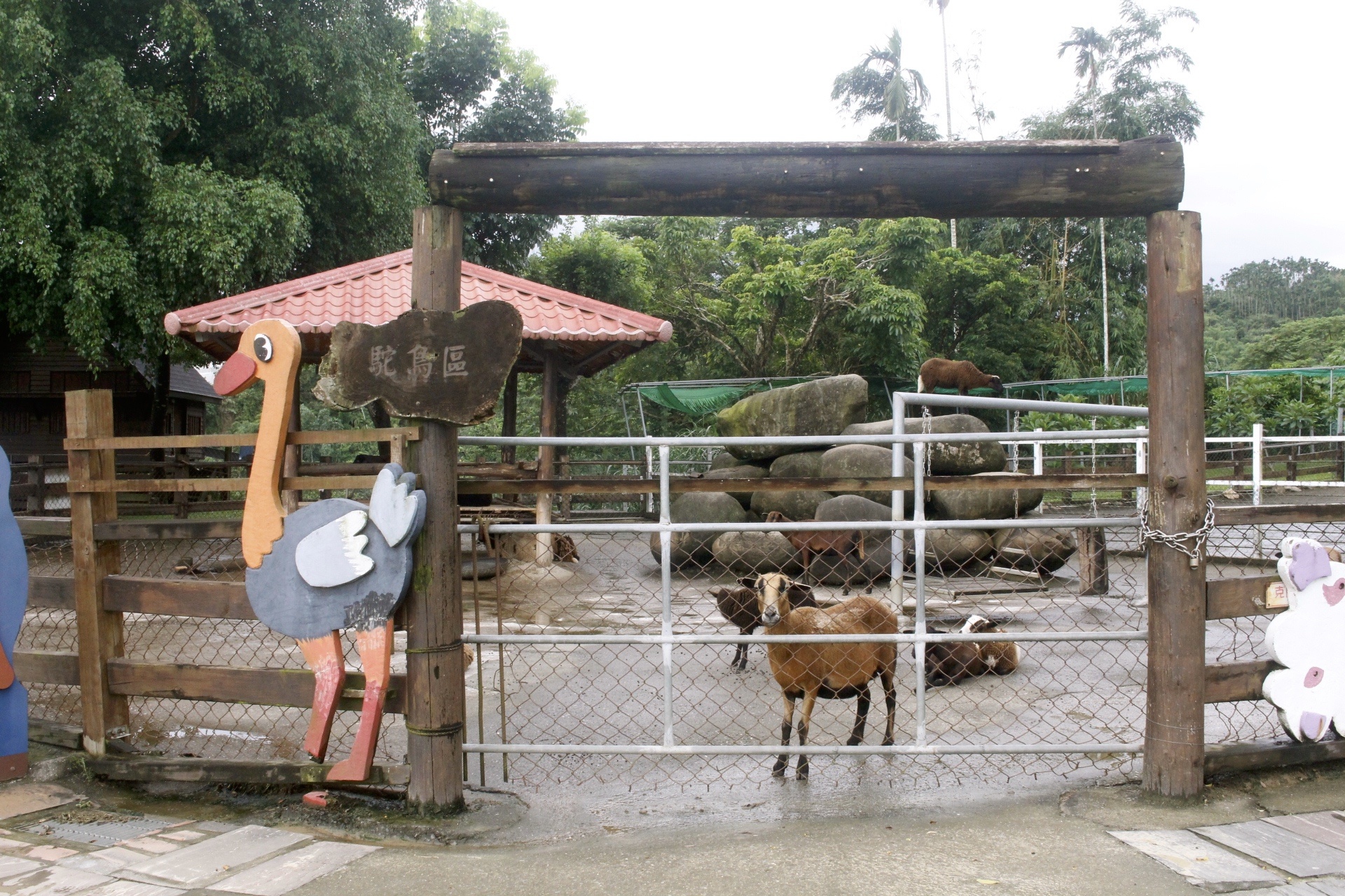 公園,動物,嘉義景點(diǎn),小火車,沙坑,獨(dú)角仙農(nóng)場,親子旅遊,農(nóng)場,遊戲場