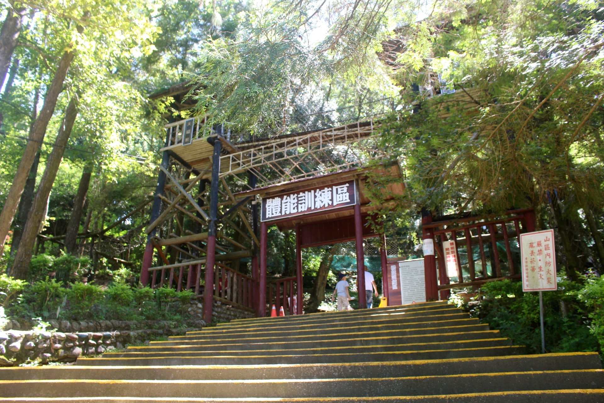 臺中好玩,臺中景點,東勢林場,親子遊