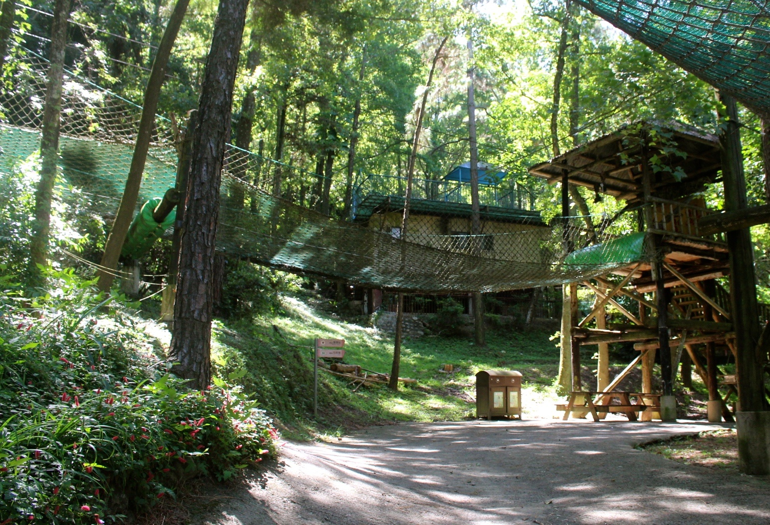 臺中好玩,臺中景點,東勢林場,親子遊