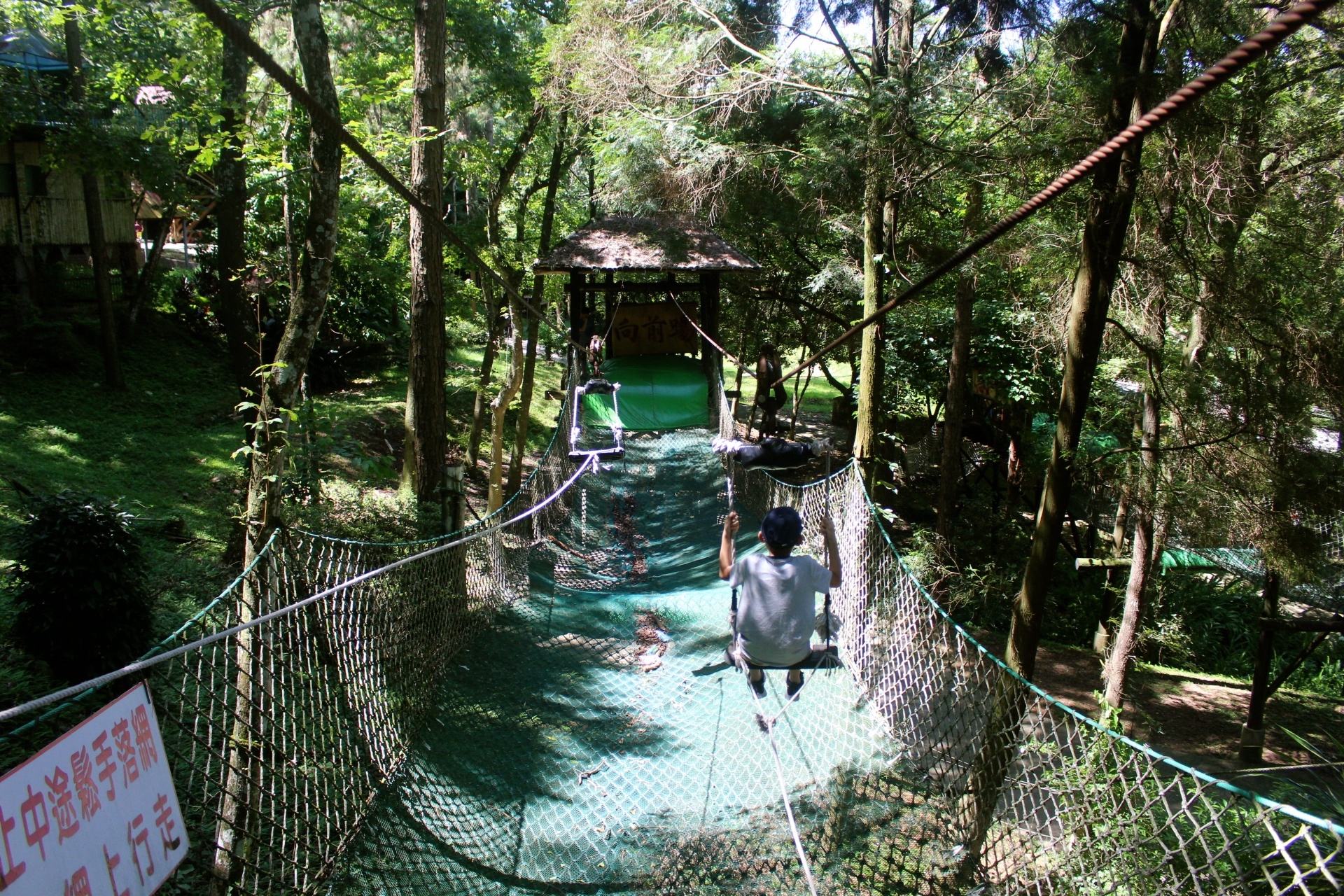 臺中好玩,臺中景點,東勢林場,親子遊