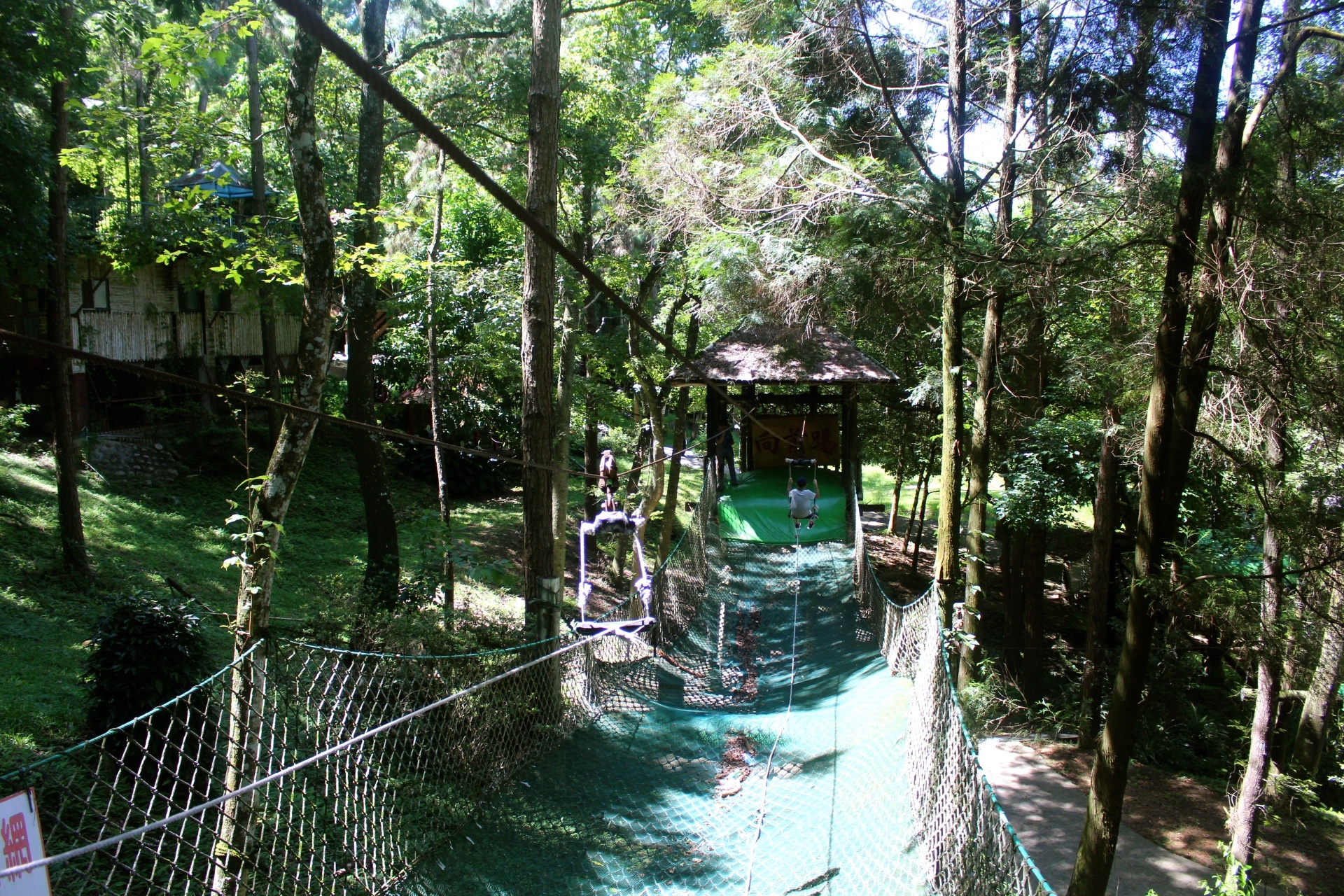 臺中好玩,臺中景點,東勢林場,親子遊