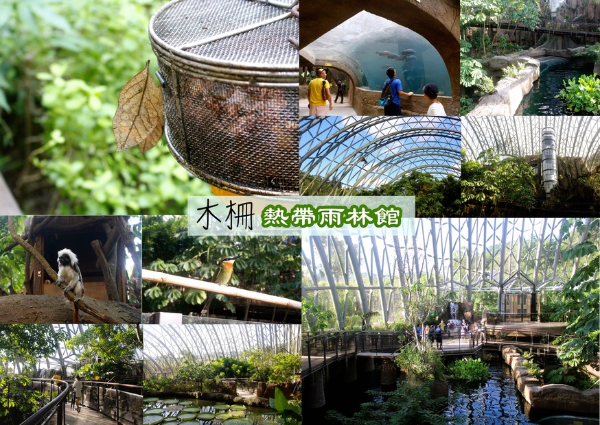 好玩景點,木柵動物園,熱帶雨林館,親子遊 @艾瑪  吃喝玩樂札記