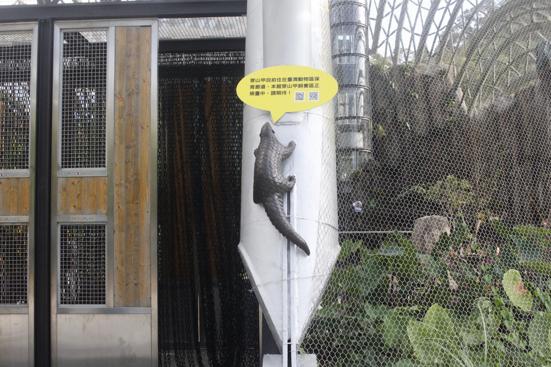 【臺北 Taipei Zoo木柵動物園】暑期新館！經歷13年、斥資3.9億打造24公尺高「熱帶雨林」館，平日時間自由進出