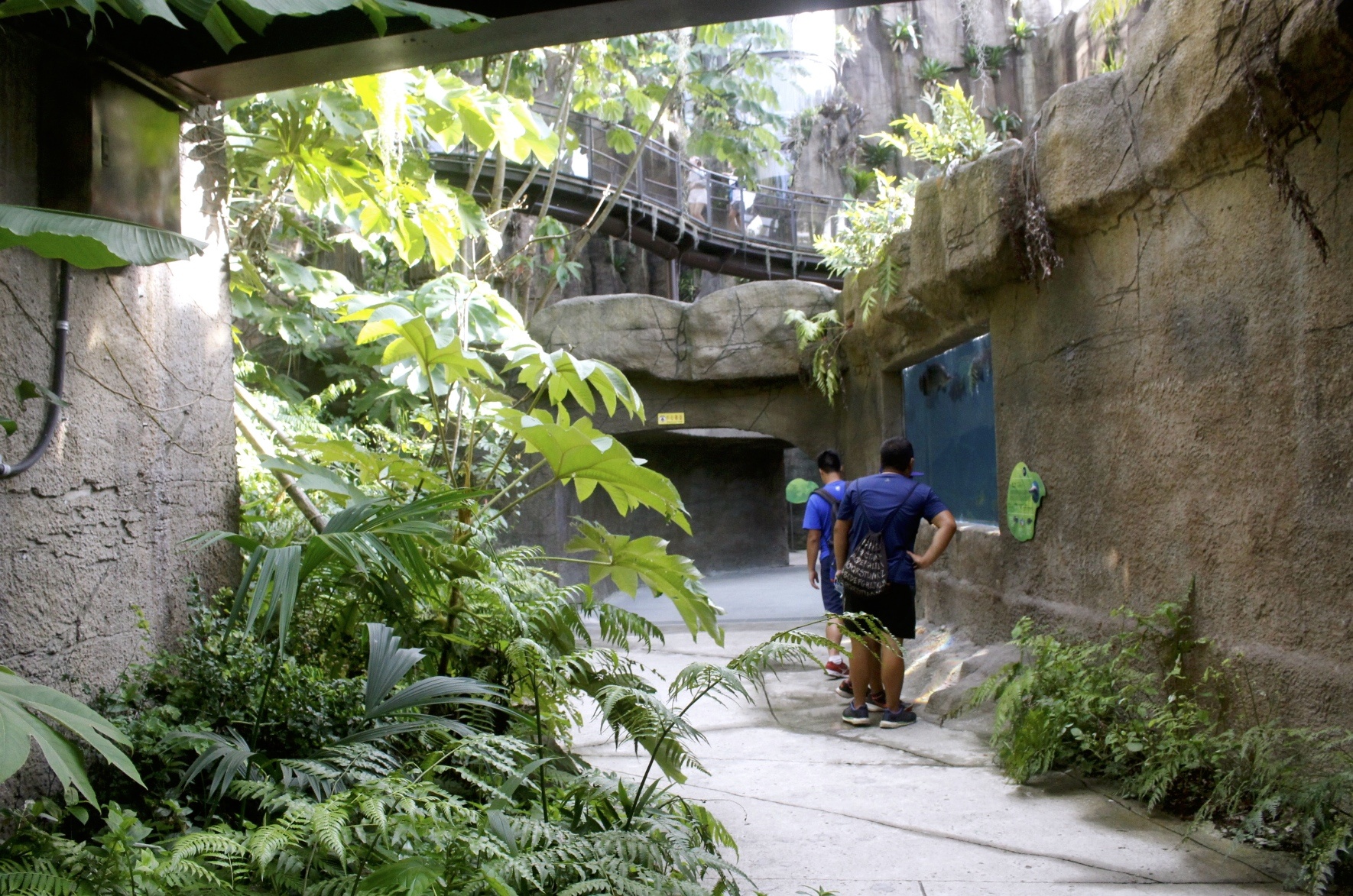 【臺北 Taipei Zoo木柵動物園】暑期新館！經歷13年、斥資3.9億打造24公尺高「熱帶雨林」館，平日時間自由進出