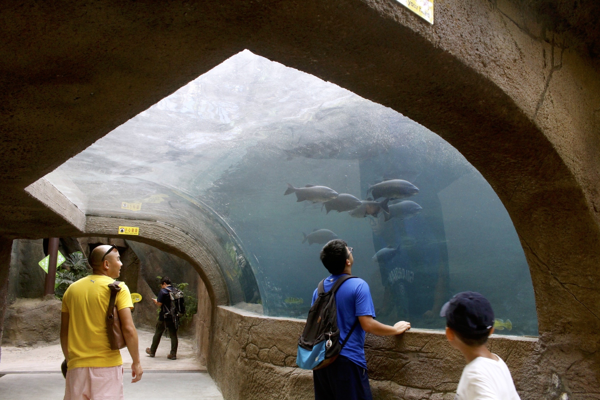 【臺北 Taipei Zoo木柵動物園】暑期新館！經歷13年、斥資3.9億打造24公尺高「熱帶雨林」館，平日時間自由進出