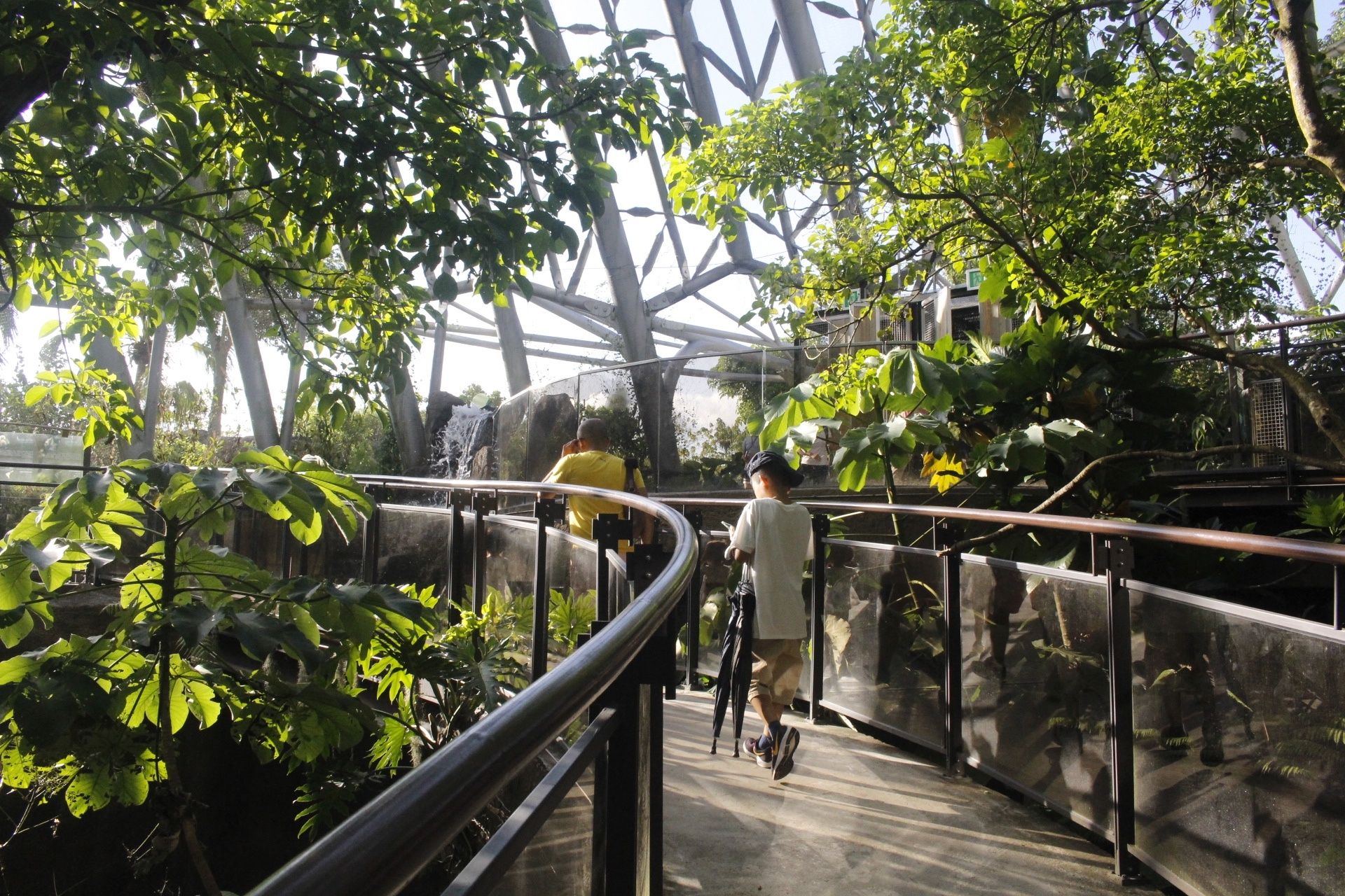 【臺北 Taipei Zoo木柵動物園】暑期新館！經歷13年、斥資3.9億打造24公尺高「熱帶雨林」館，平日時間自由進出